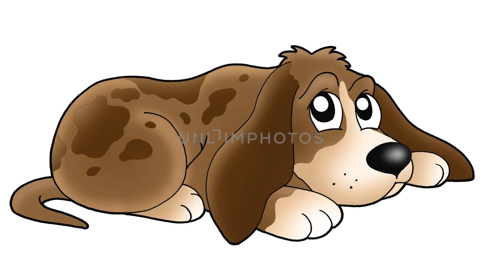 Cute lying dog - color illustration.