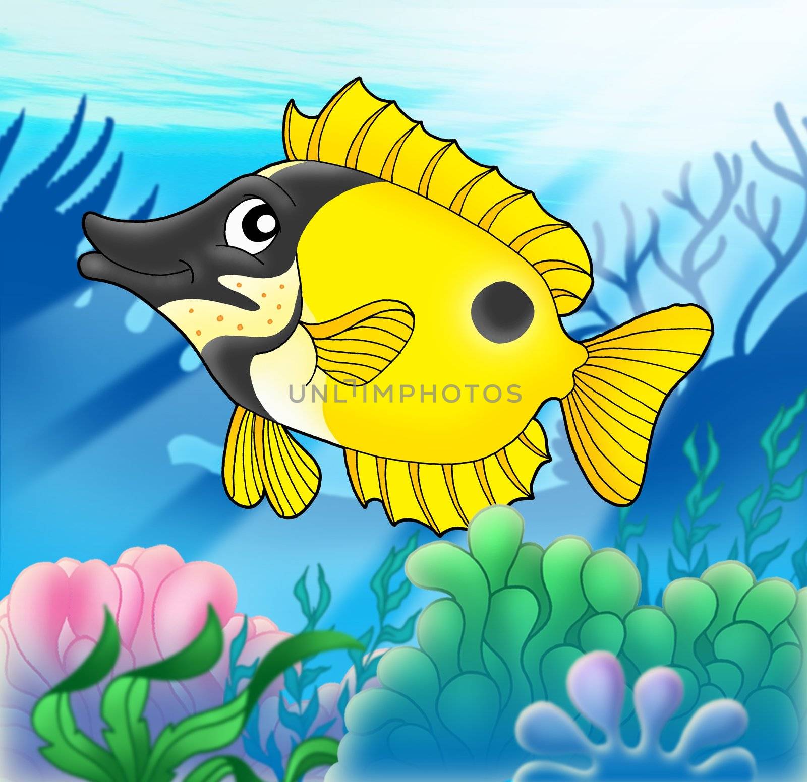 Foxfish with anemones - color illustration.