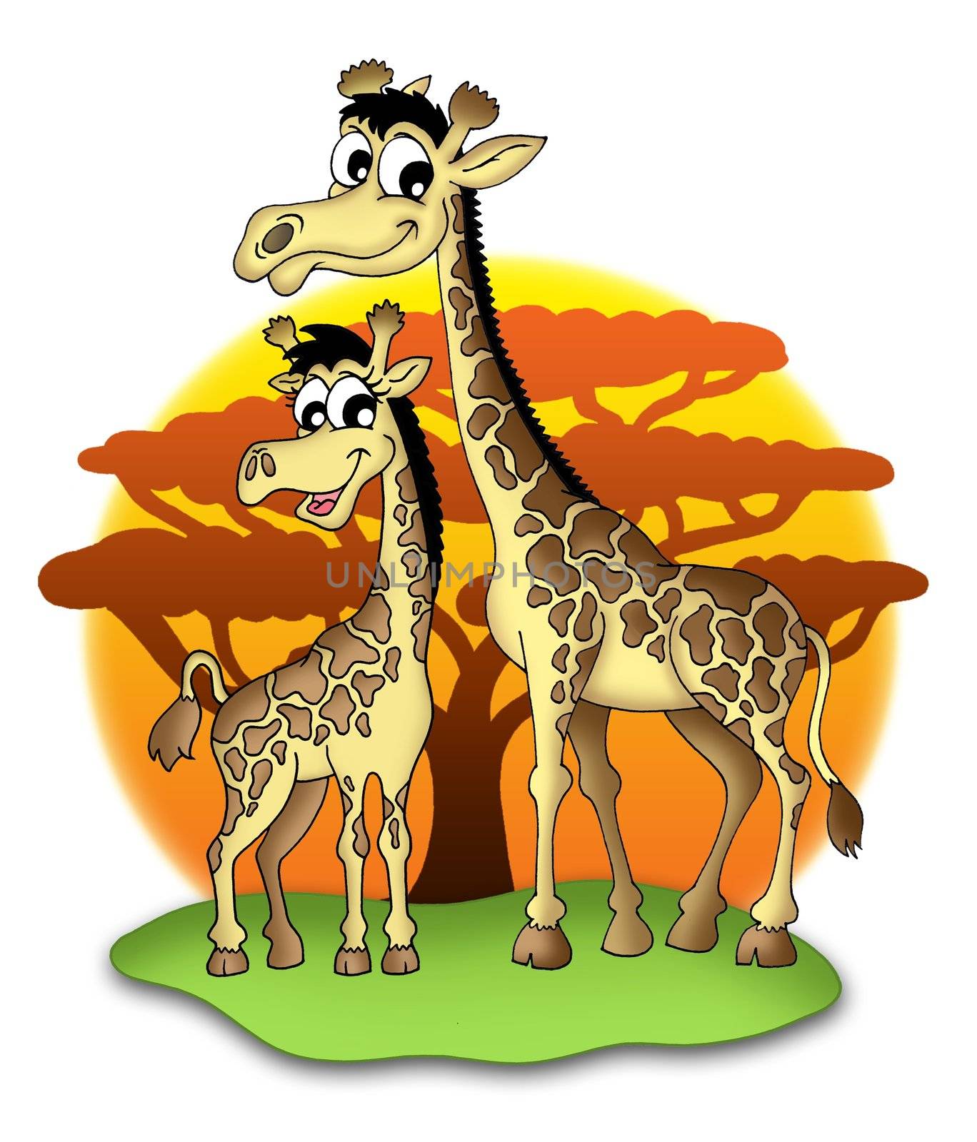 Two smiling giraffes - color illustration.