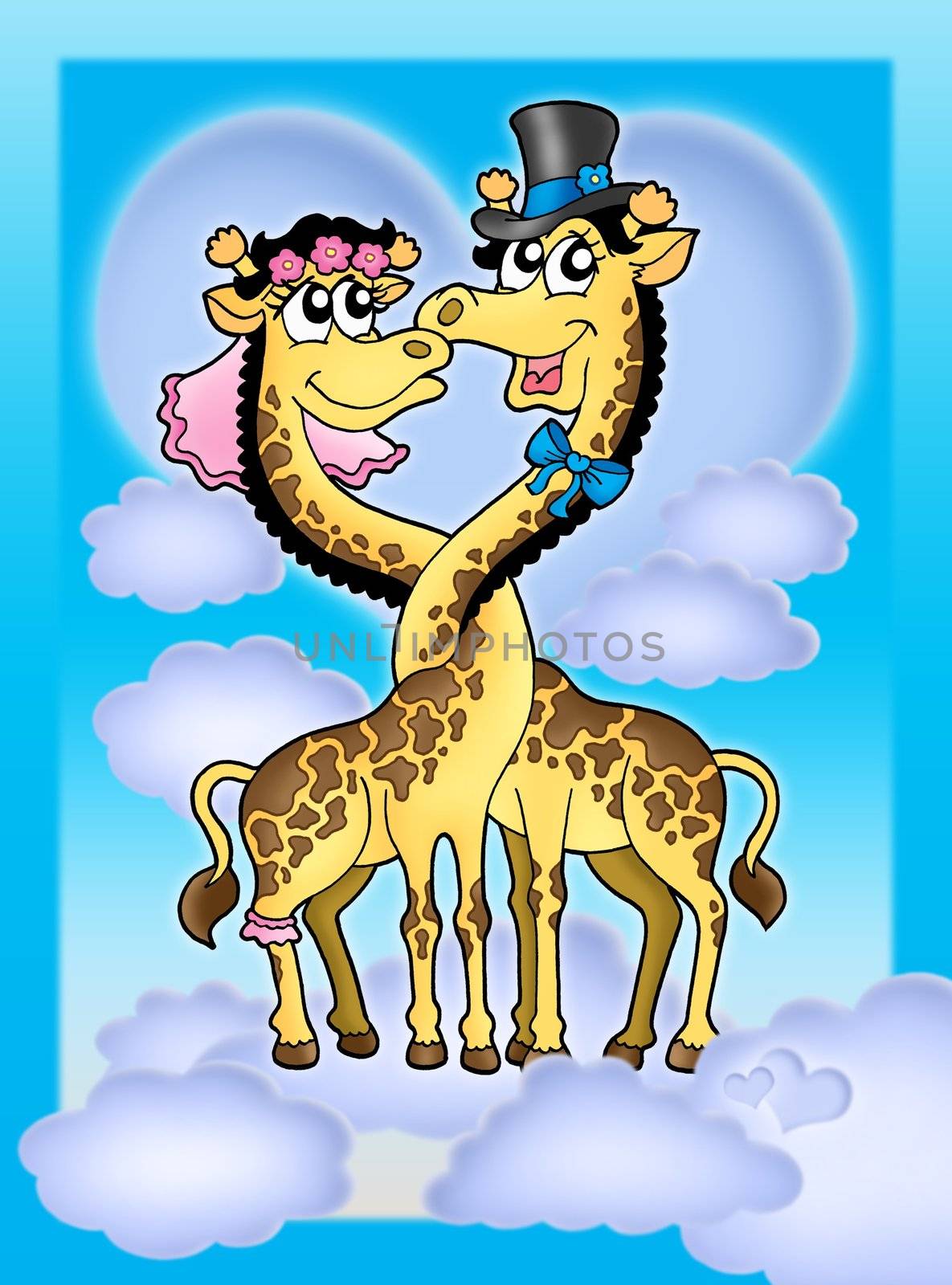 Color illustration of two giraffes. Like bride and groom.