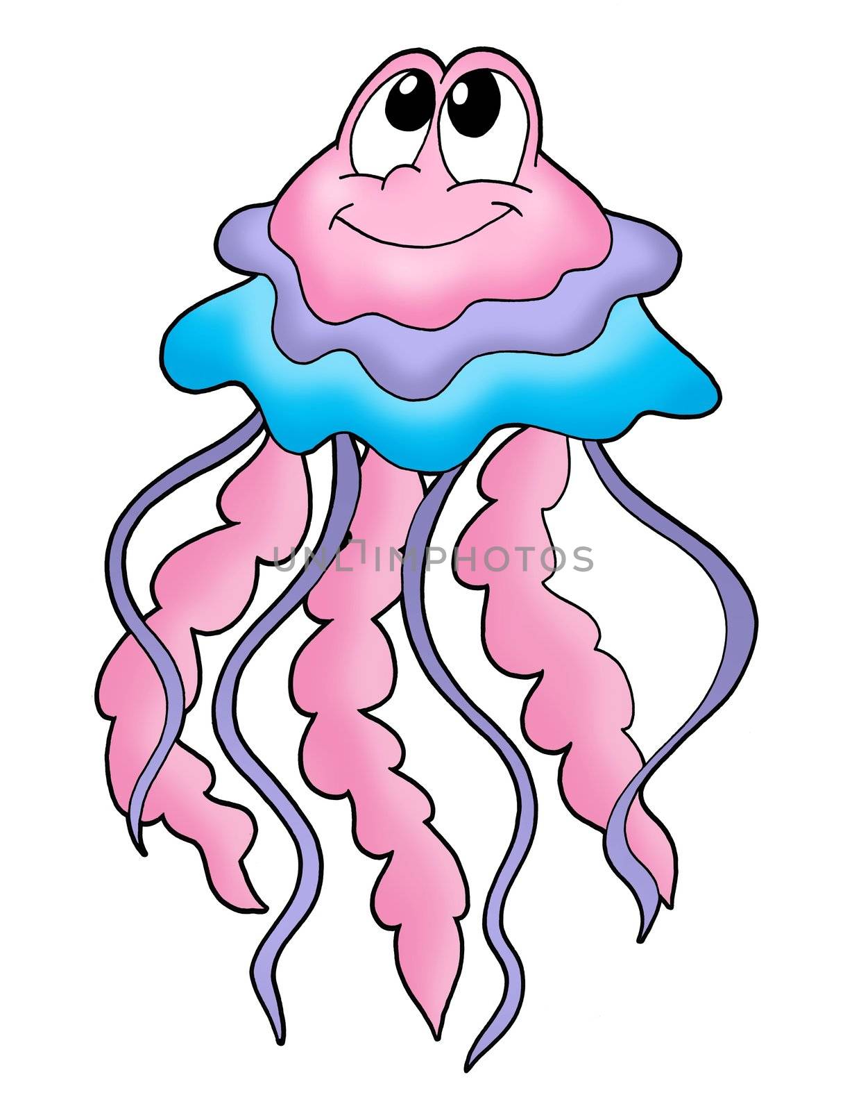 Color illustration of floating jellyfish.