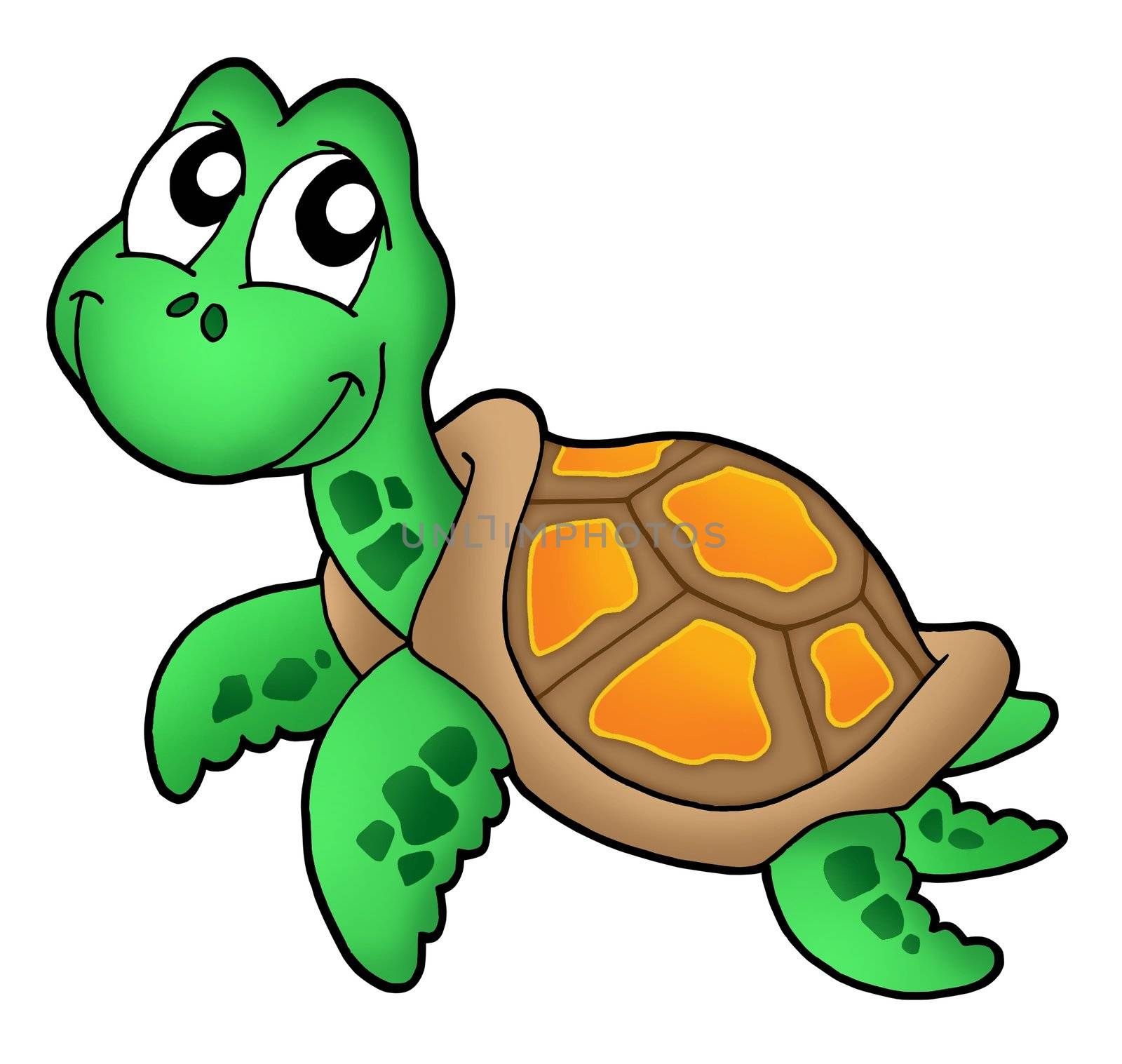 Little sea turtle - color illustration.
