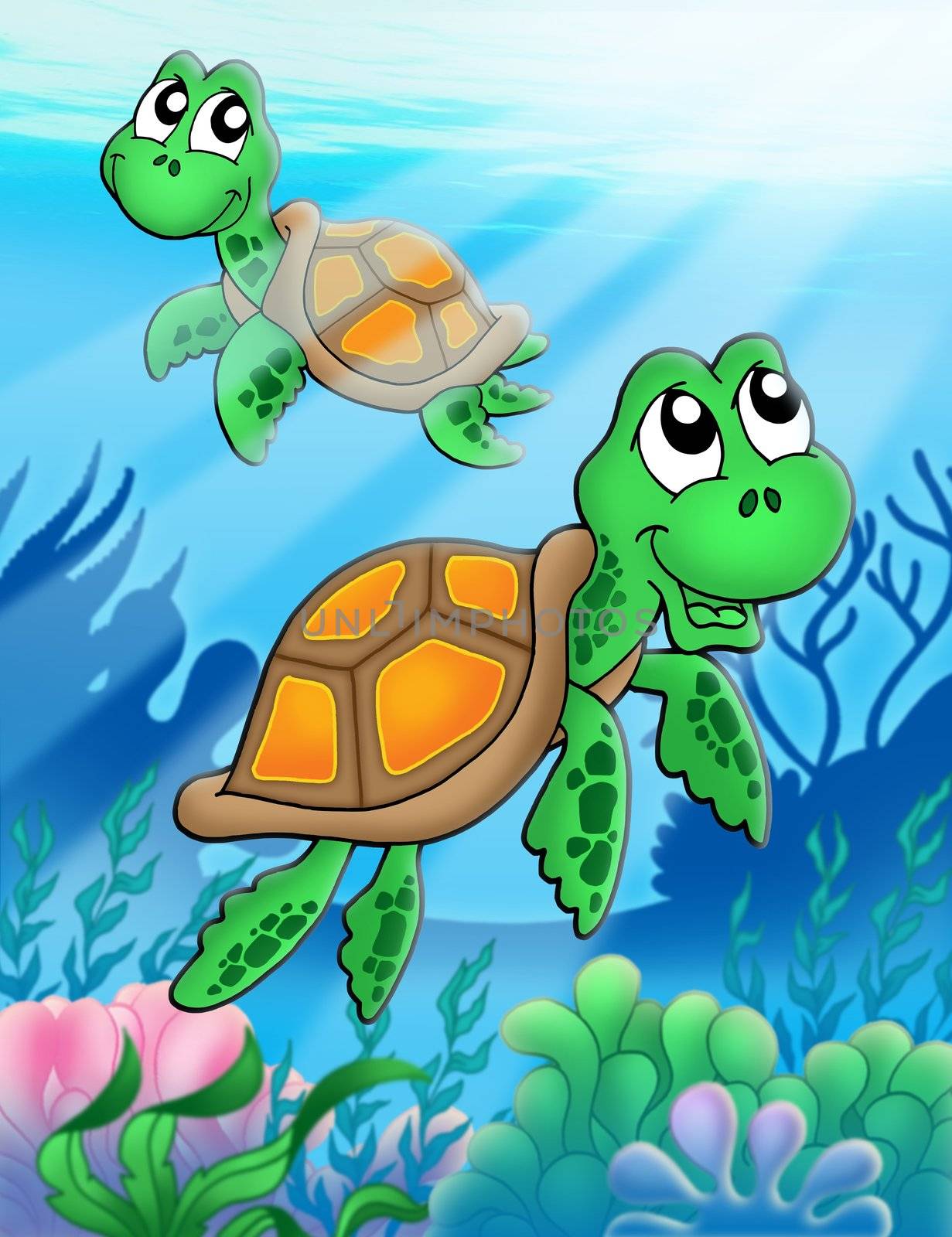 Little sea turtles - color illustration.