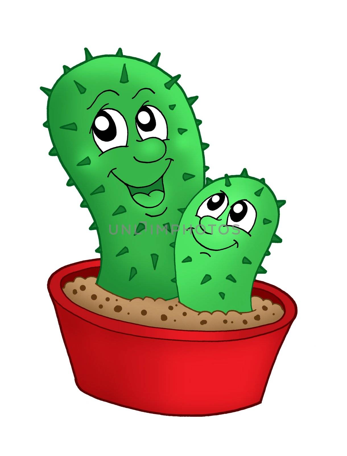 Pair of cactuses - color illustration.