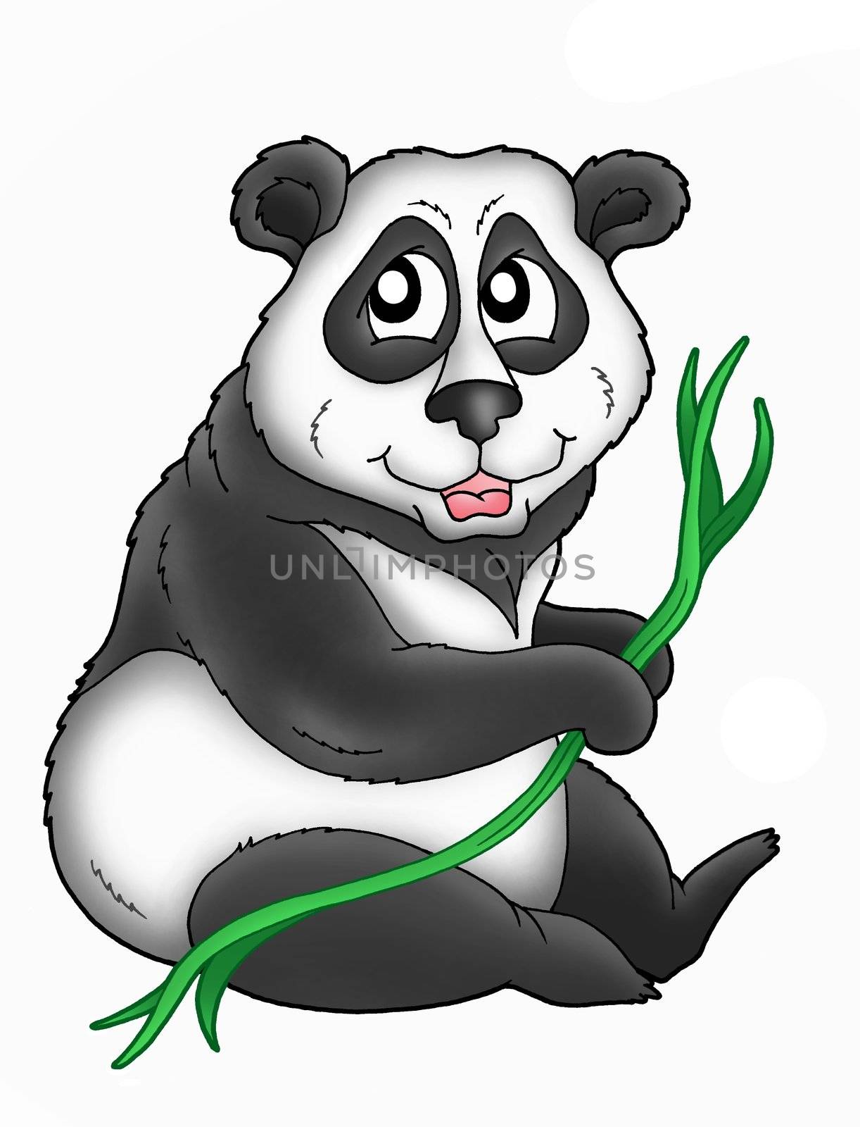 Color illustration of panda bear.