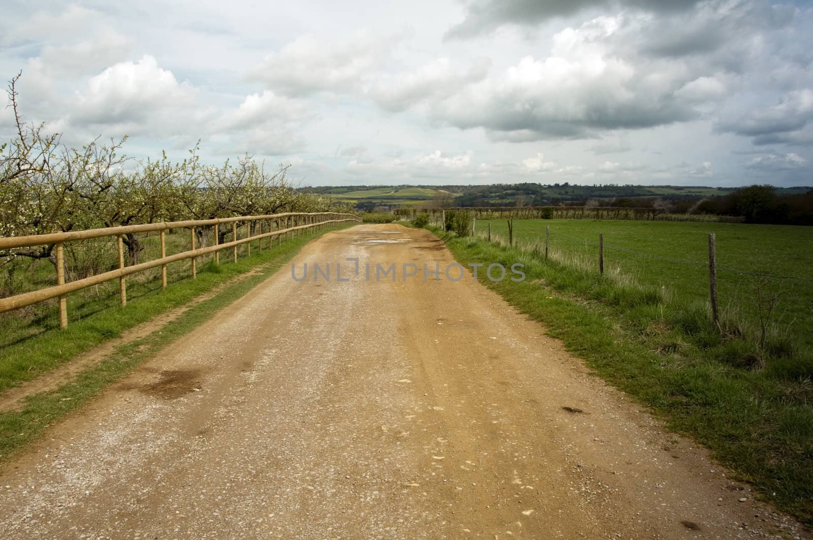 A road in the countryside with a wooden fence