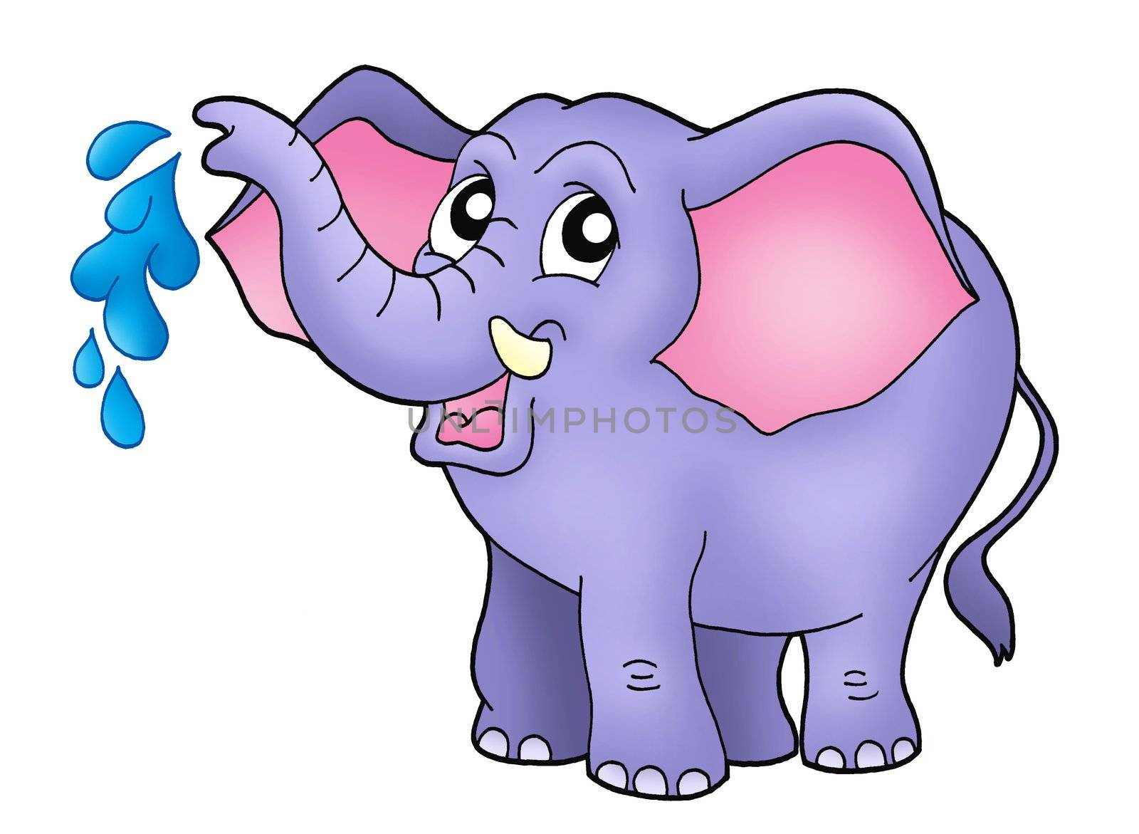 Color illustration of little elephant.