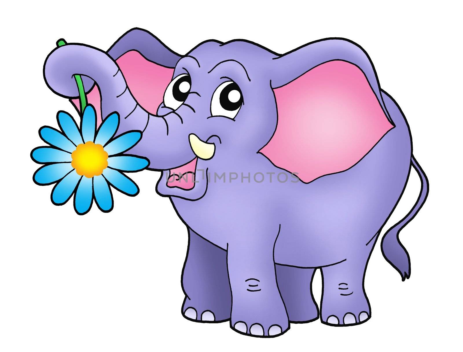 Color illustration of small elephant with flower.