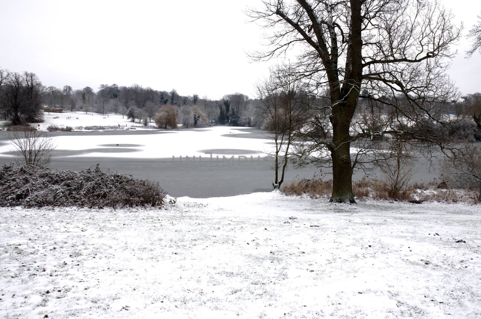 A view of a lake in winter with snow