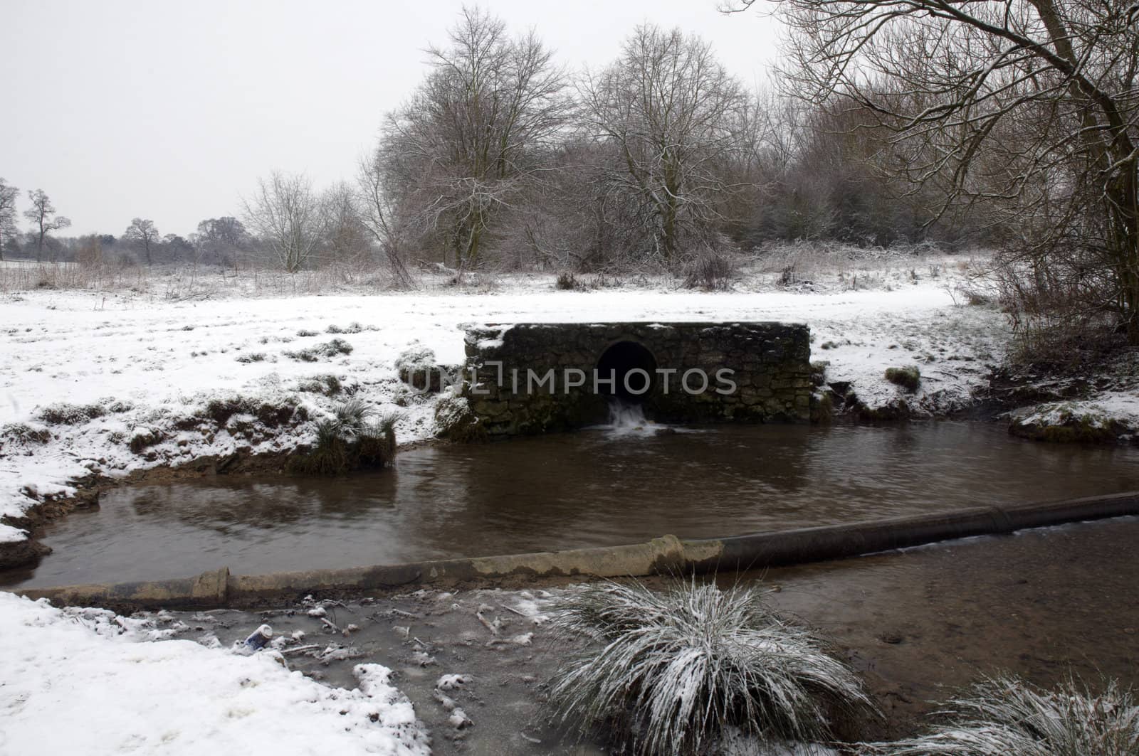 A view of a lake in winter with snow