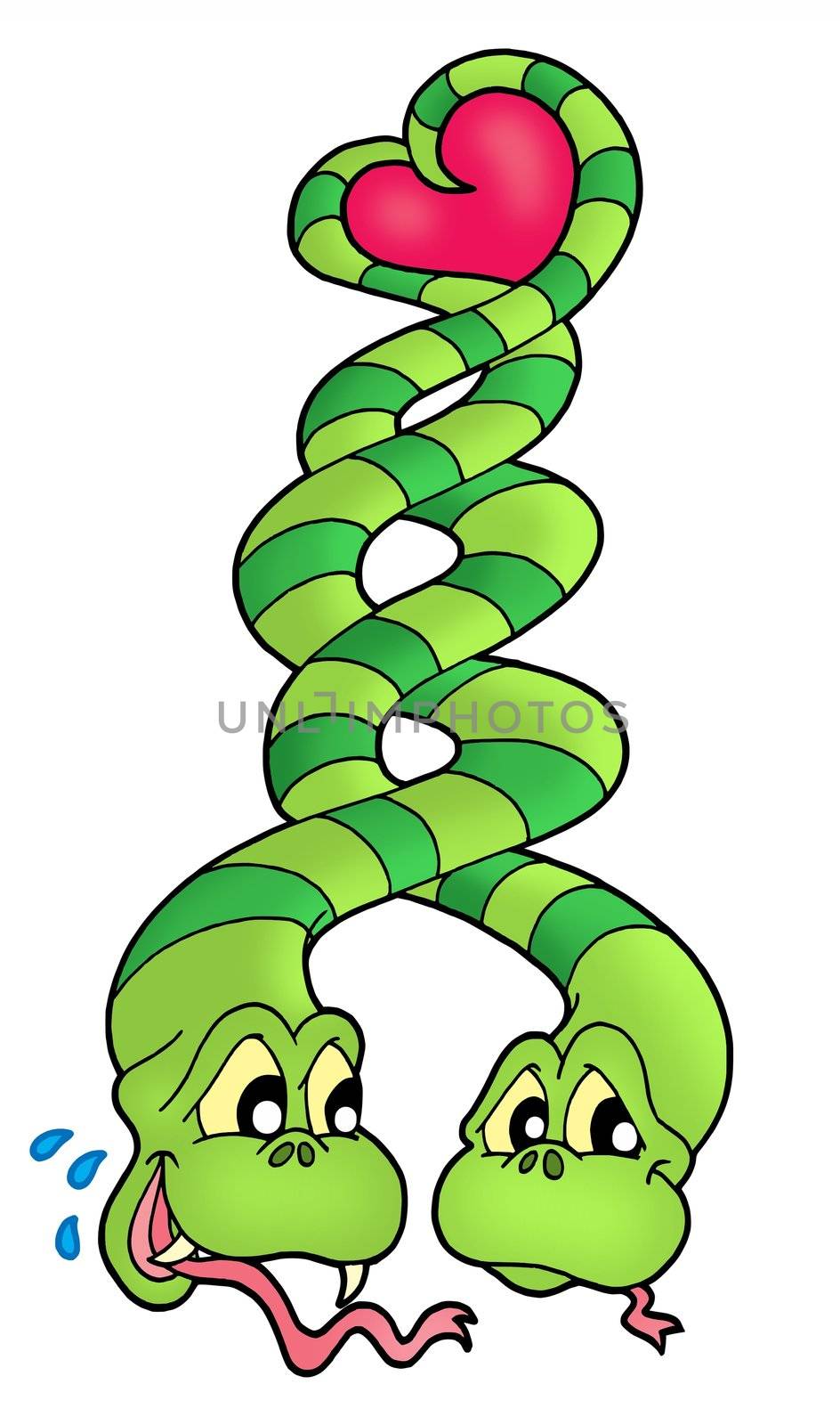 Snakes in love - color illustration.