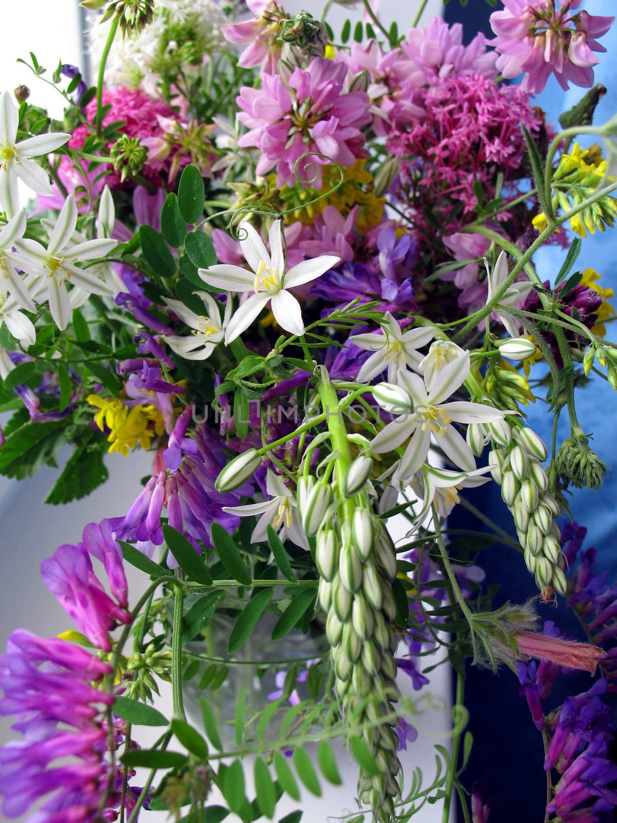 Bouquet of wild flowers by Stabivalen