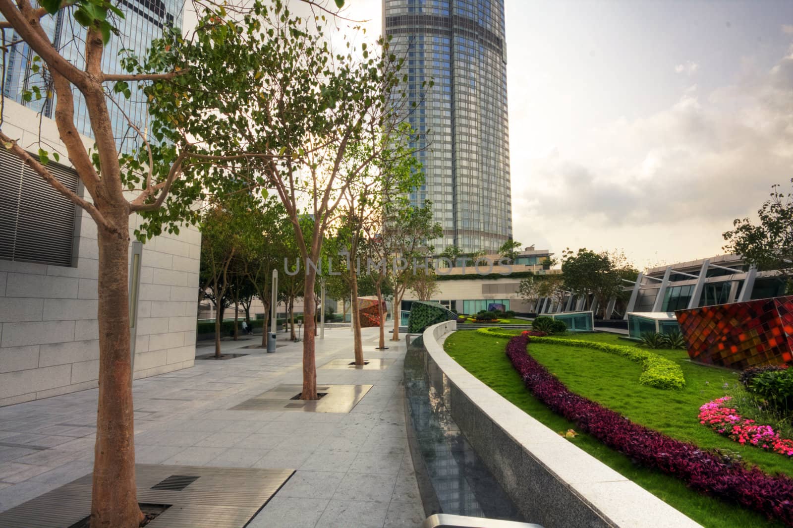 Park in a modern building in city