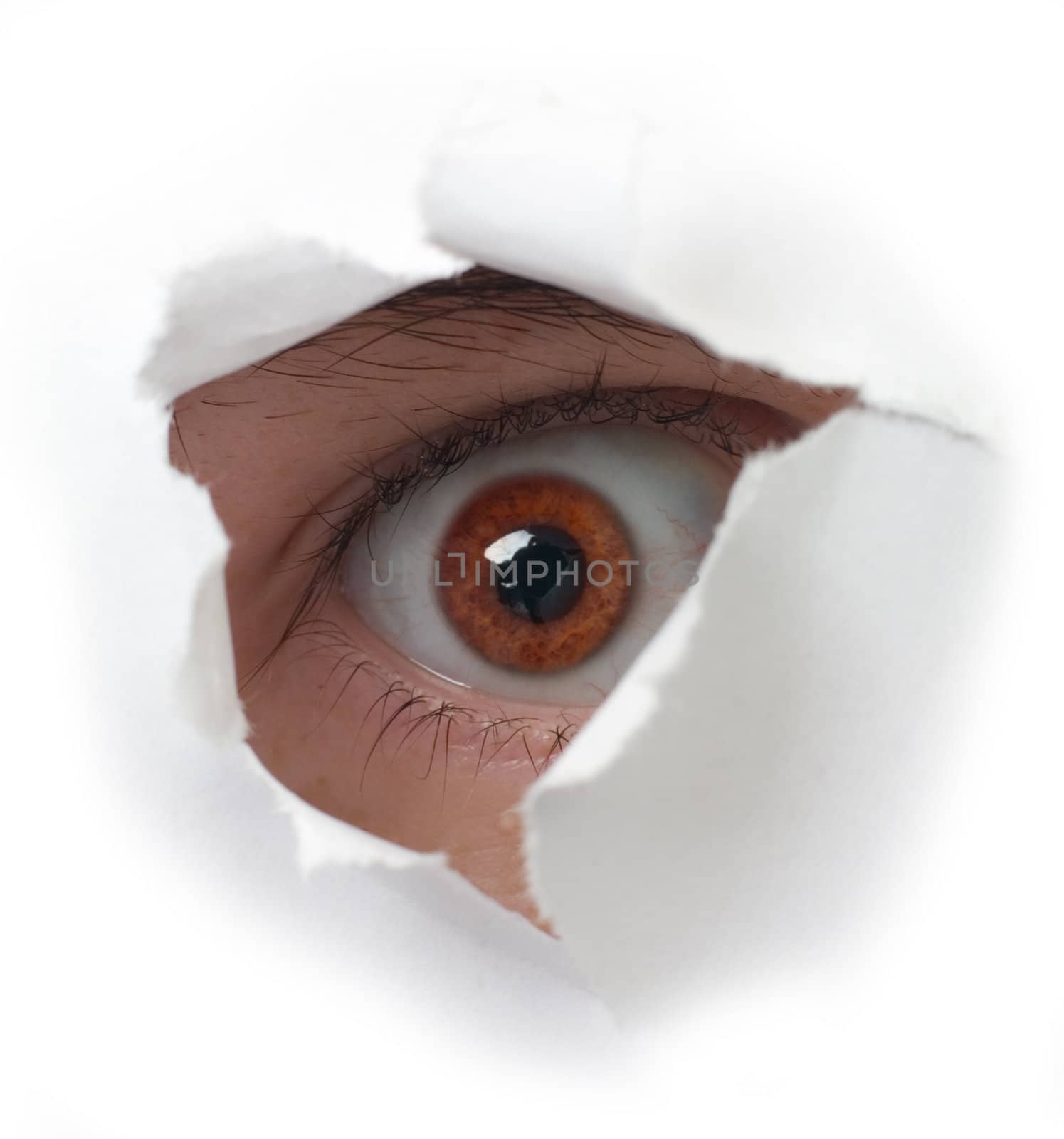 Eye peering out hole in sheet of paper on the white background