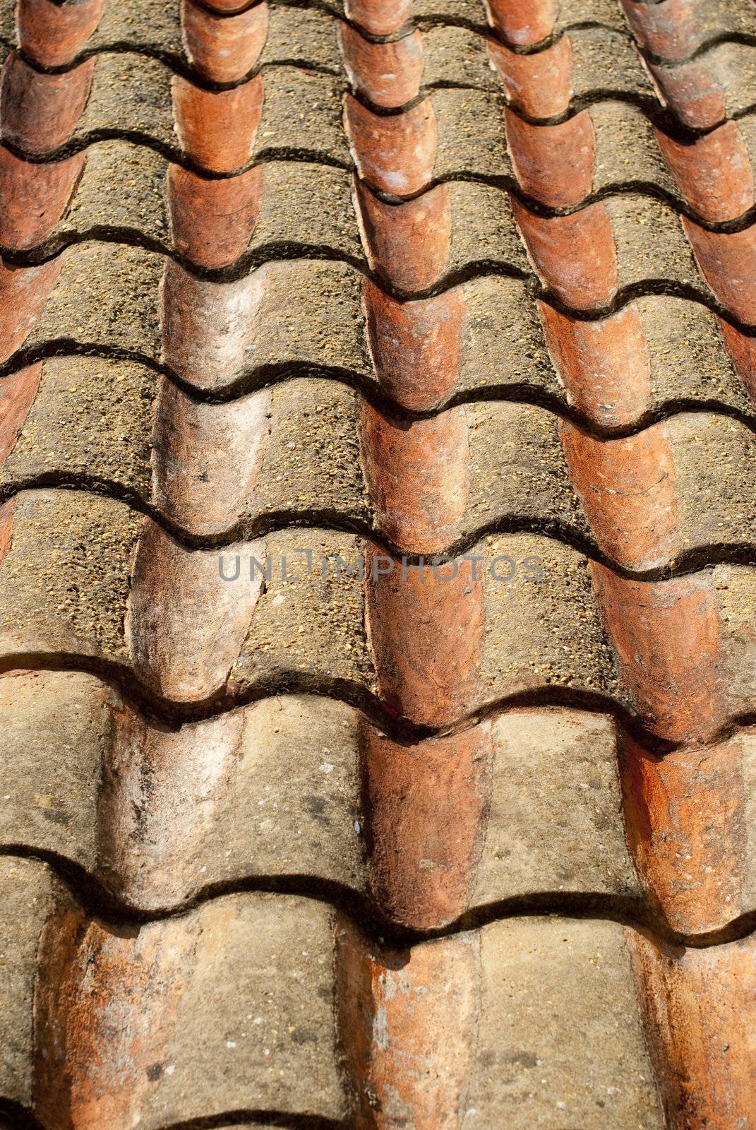 Part of a ceramic roof shot in perspective.