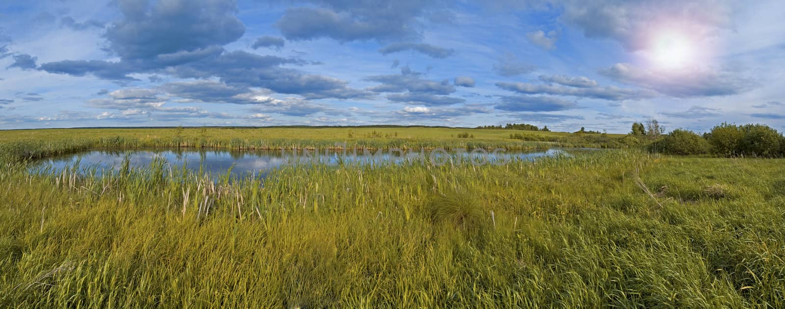 Panoramic shot of the small pond in the middle of the fields and meadows surrounded by swamp.