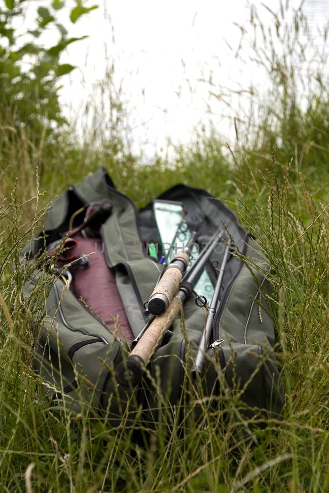 fishing rods in grass