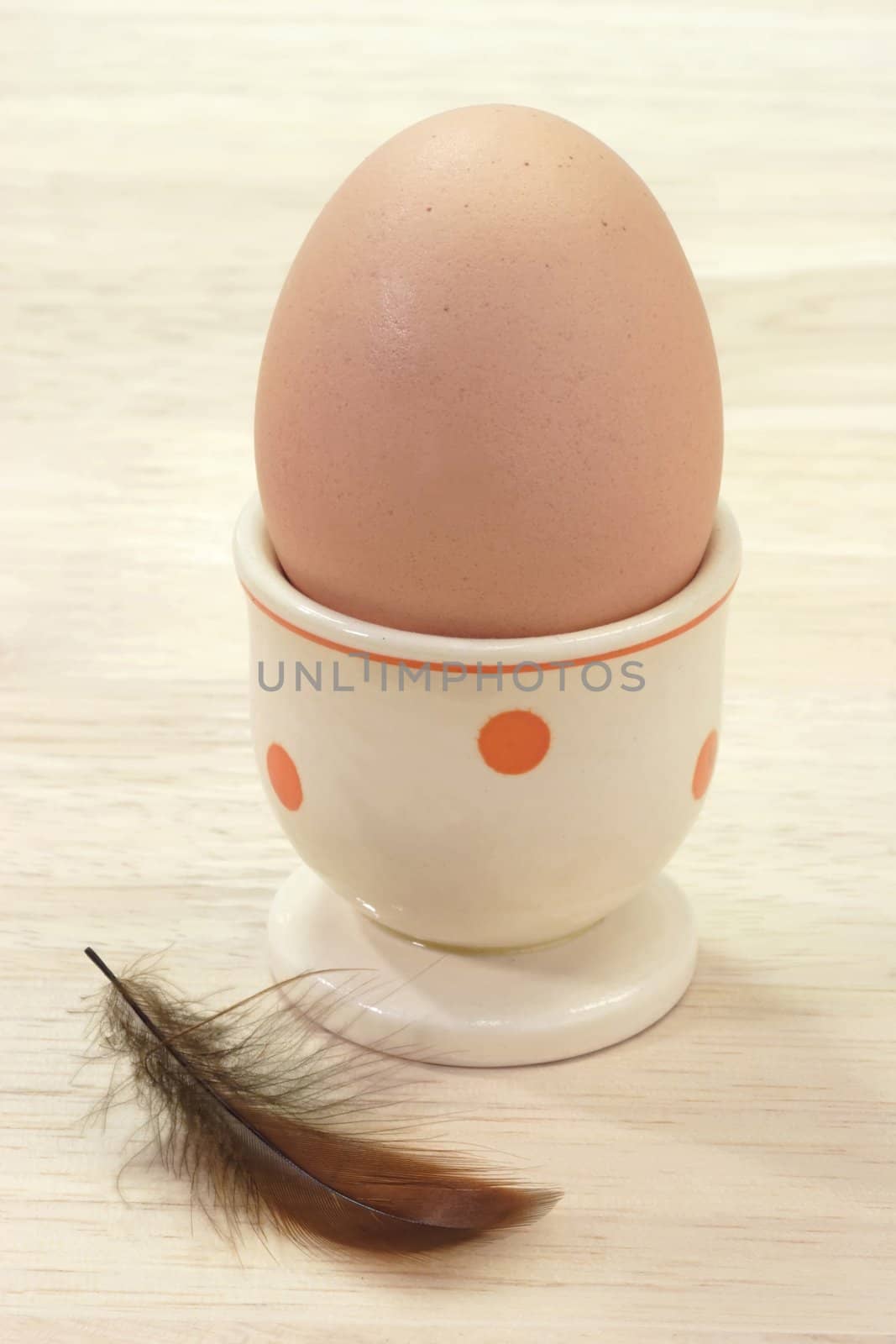 Brown hens egg in an eggcup