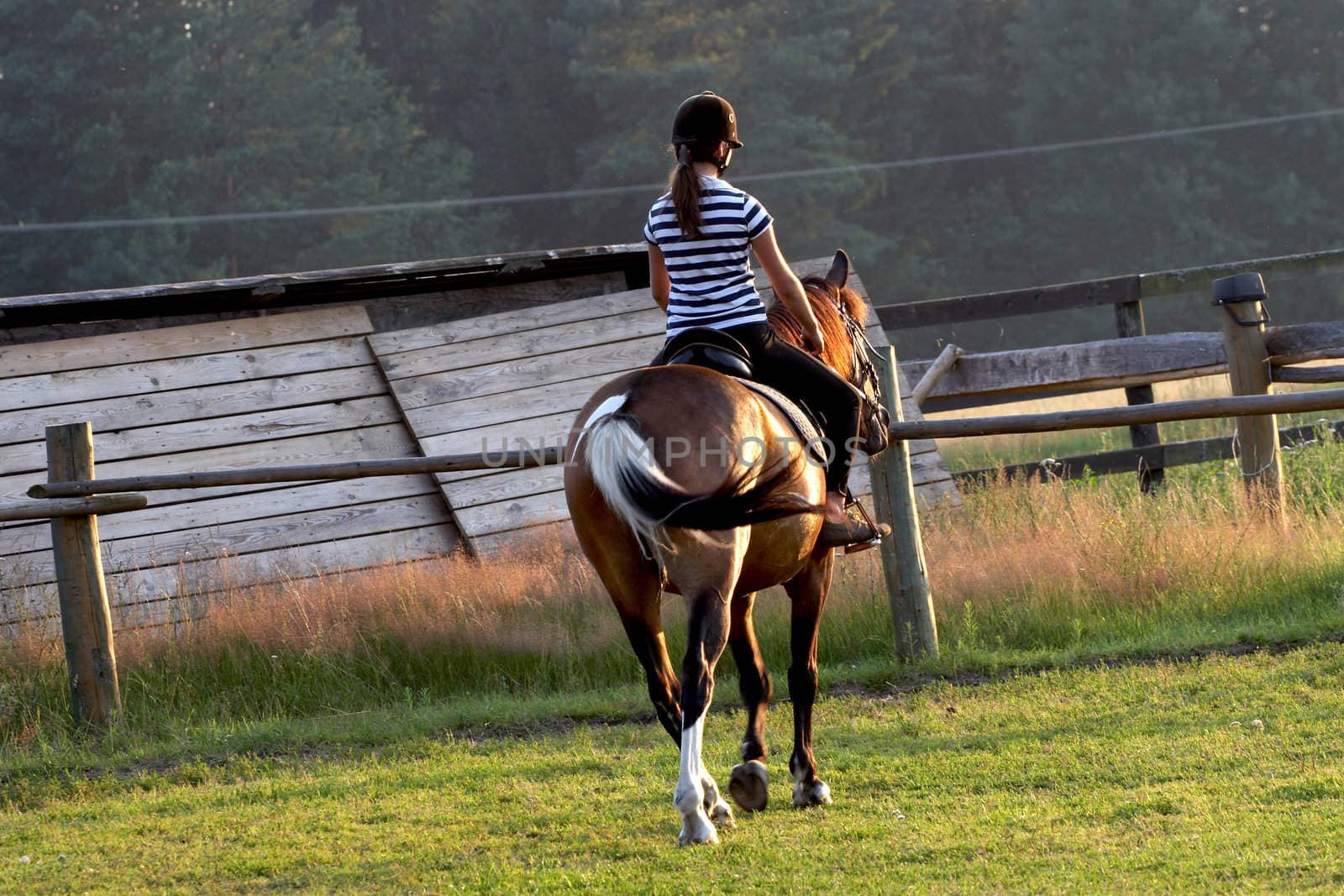 horse riding by amaxim