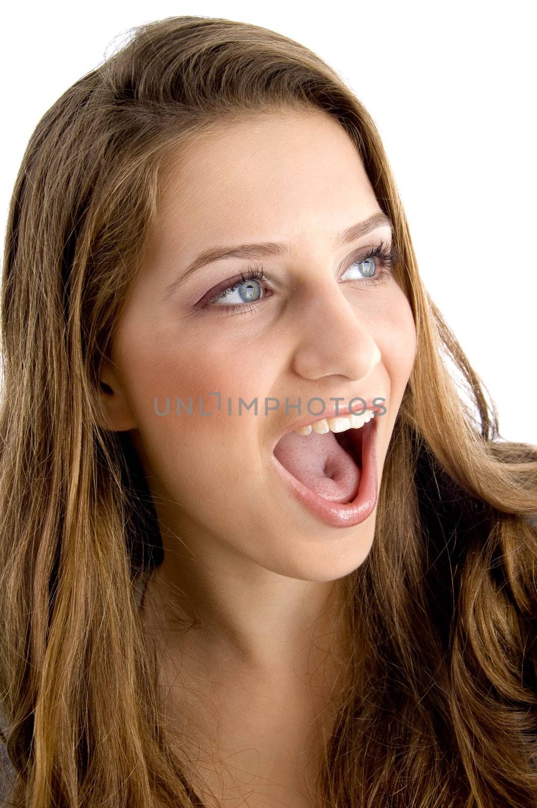 portrait of beautiful female face on an isolated white background