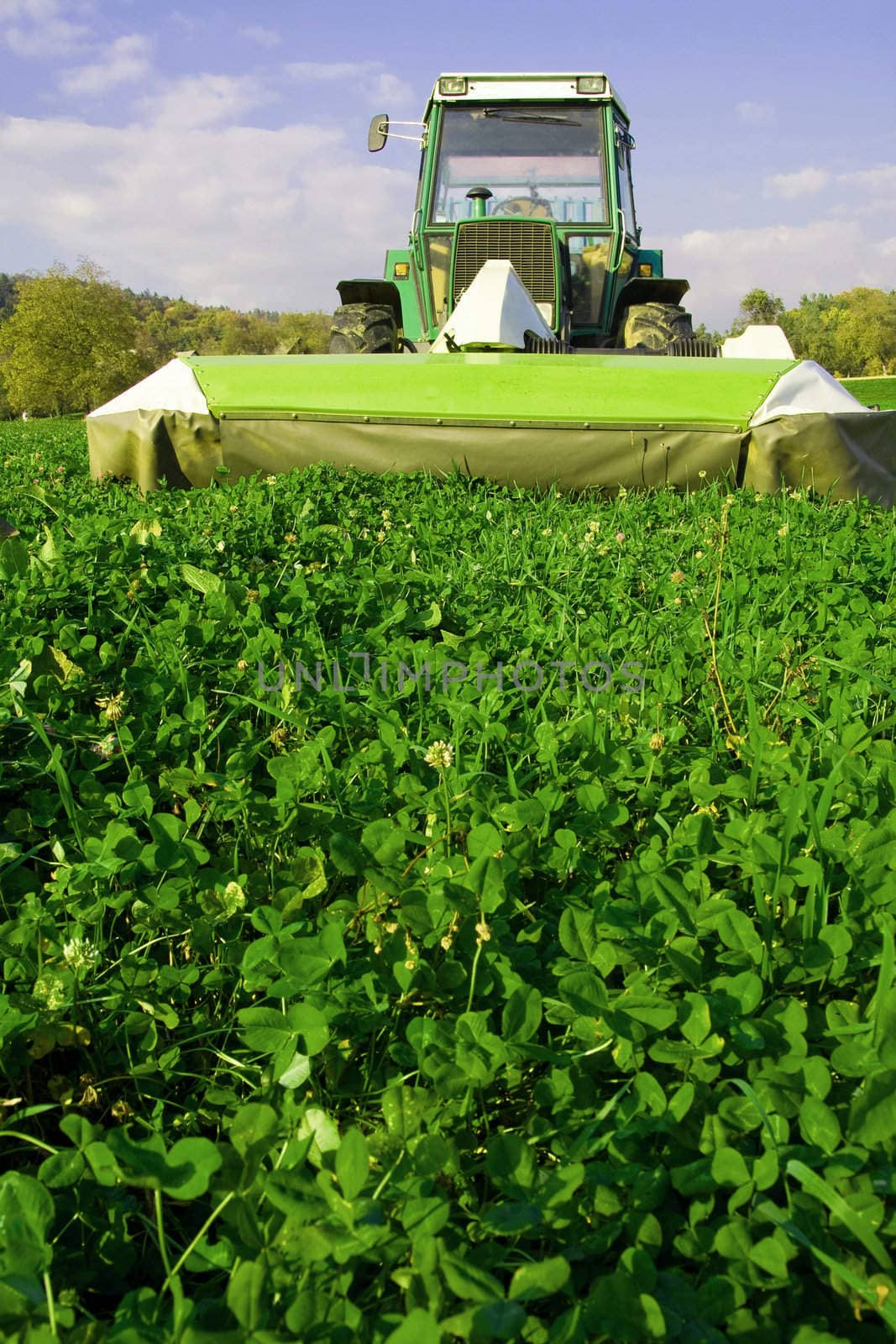 Cutting grass by miskolin