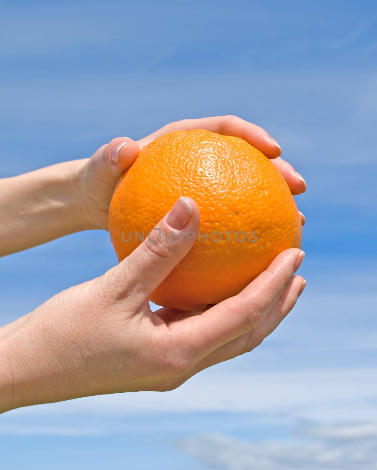 Hands with an orange against the sky