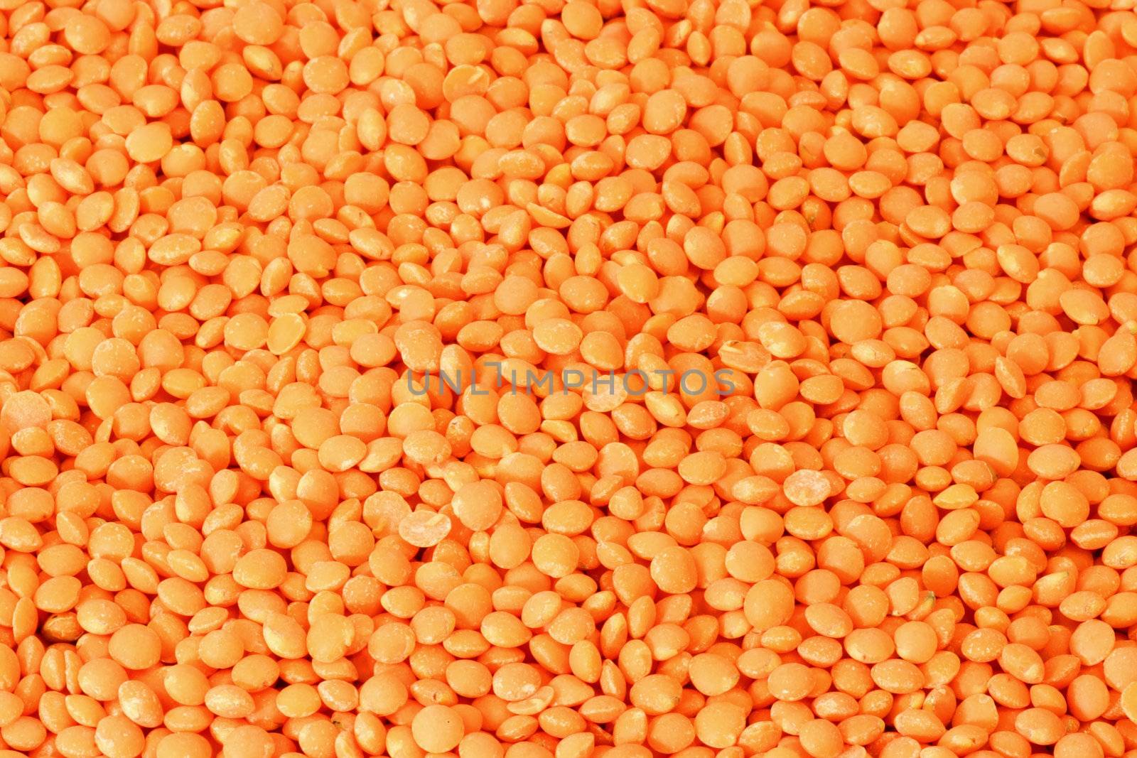 Orange Lentils (Lens culinaris) as background.