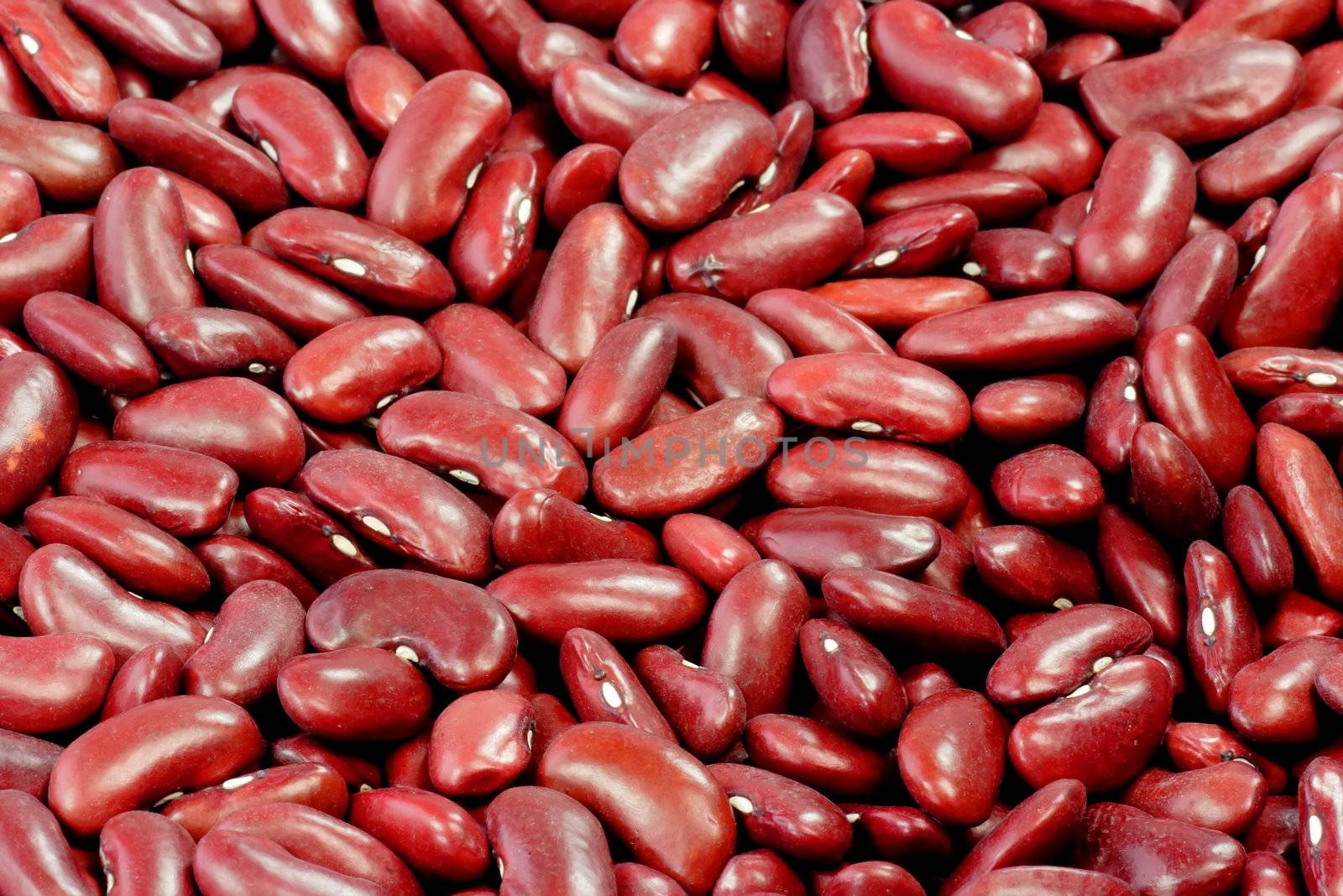 Close up from red Kidney Beans as Background
