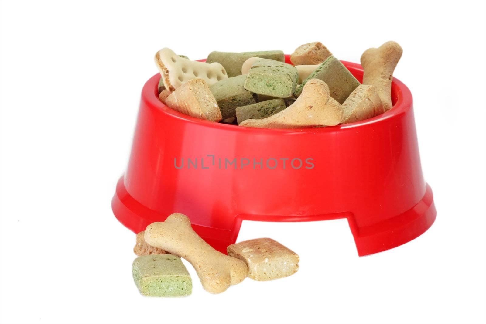 Bowl with dog food isolated on a white background