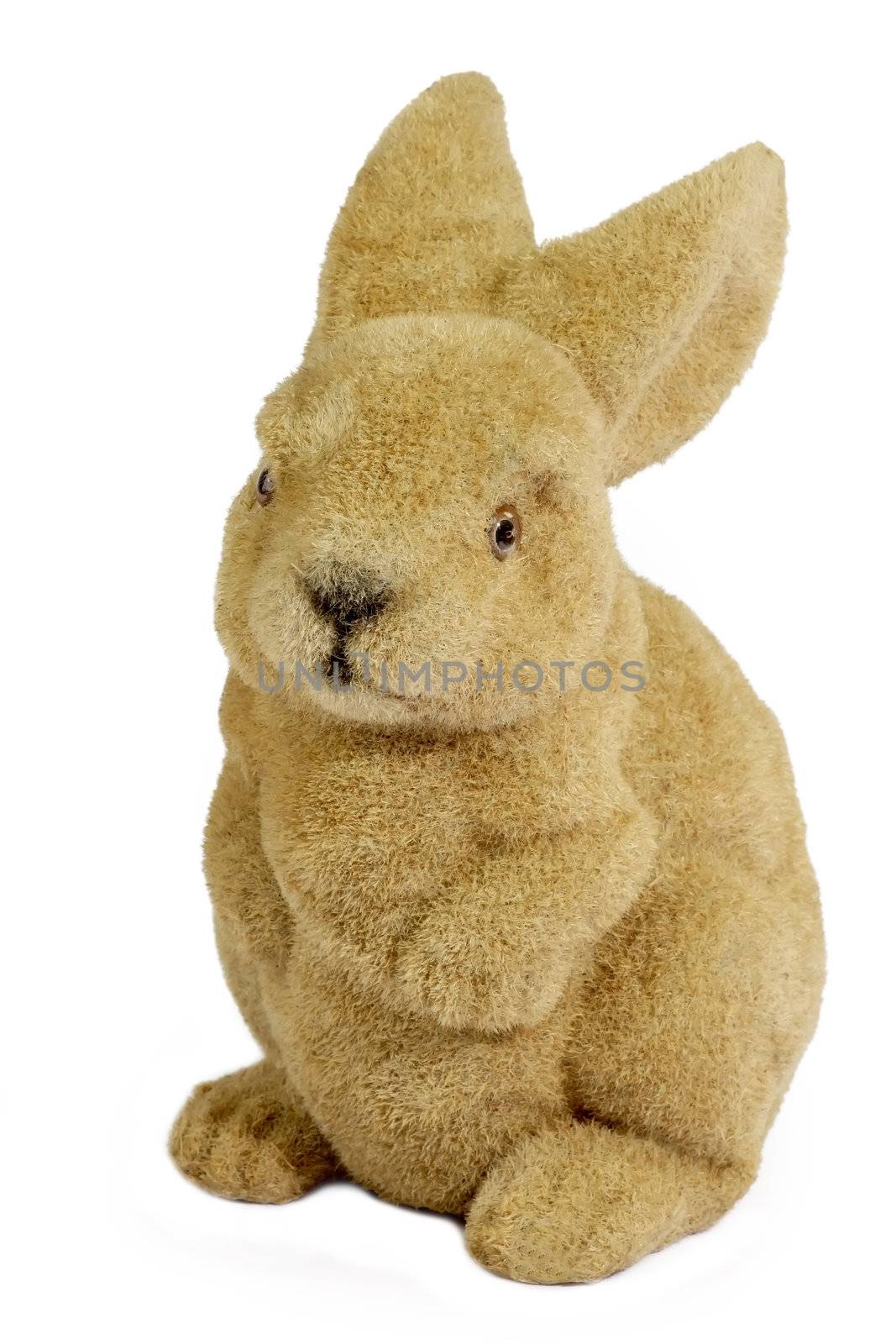 Easter bunny on white background