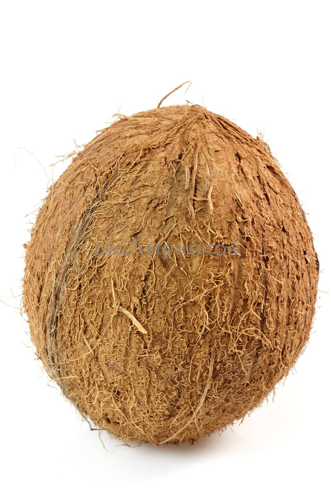 Fresh whole coconut - isolated on white background