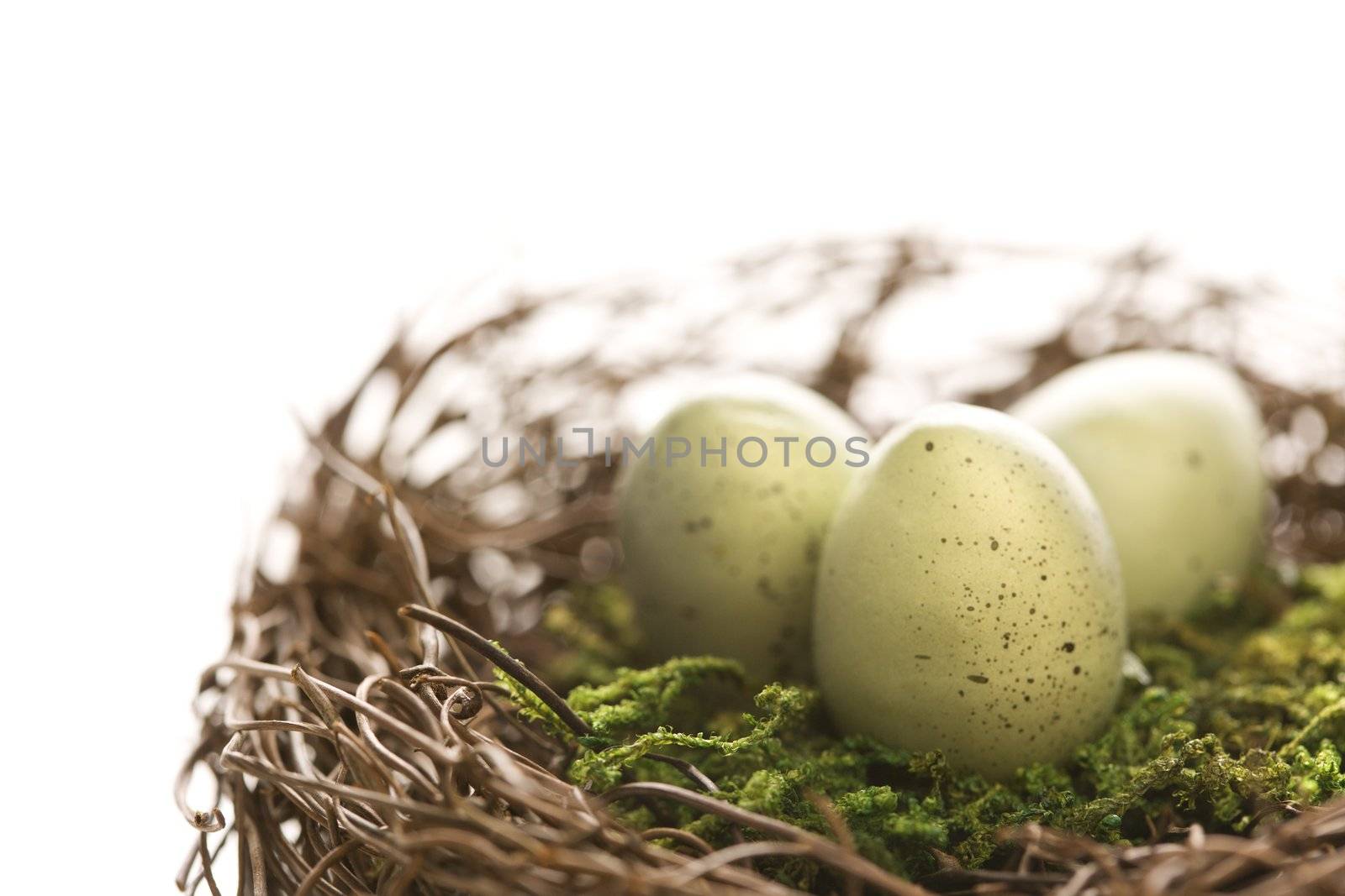 Studio still life of bird's nest with three speckled eggs.