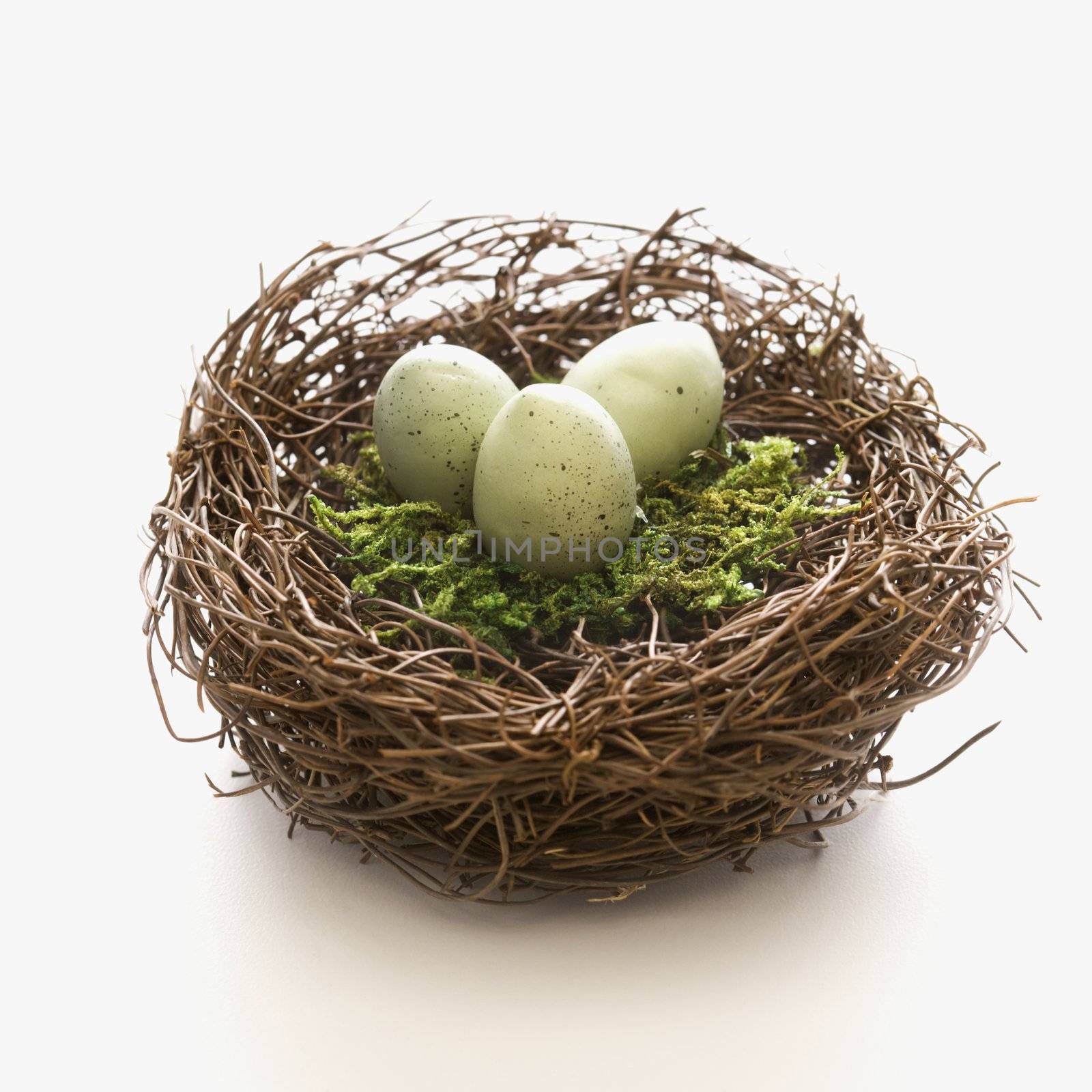 Studio still life of bird's nest with three speckled eggs.