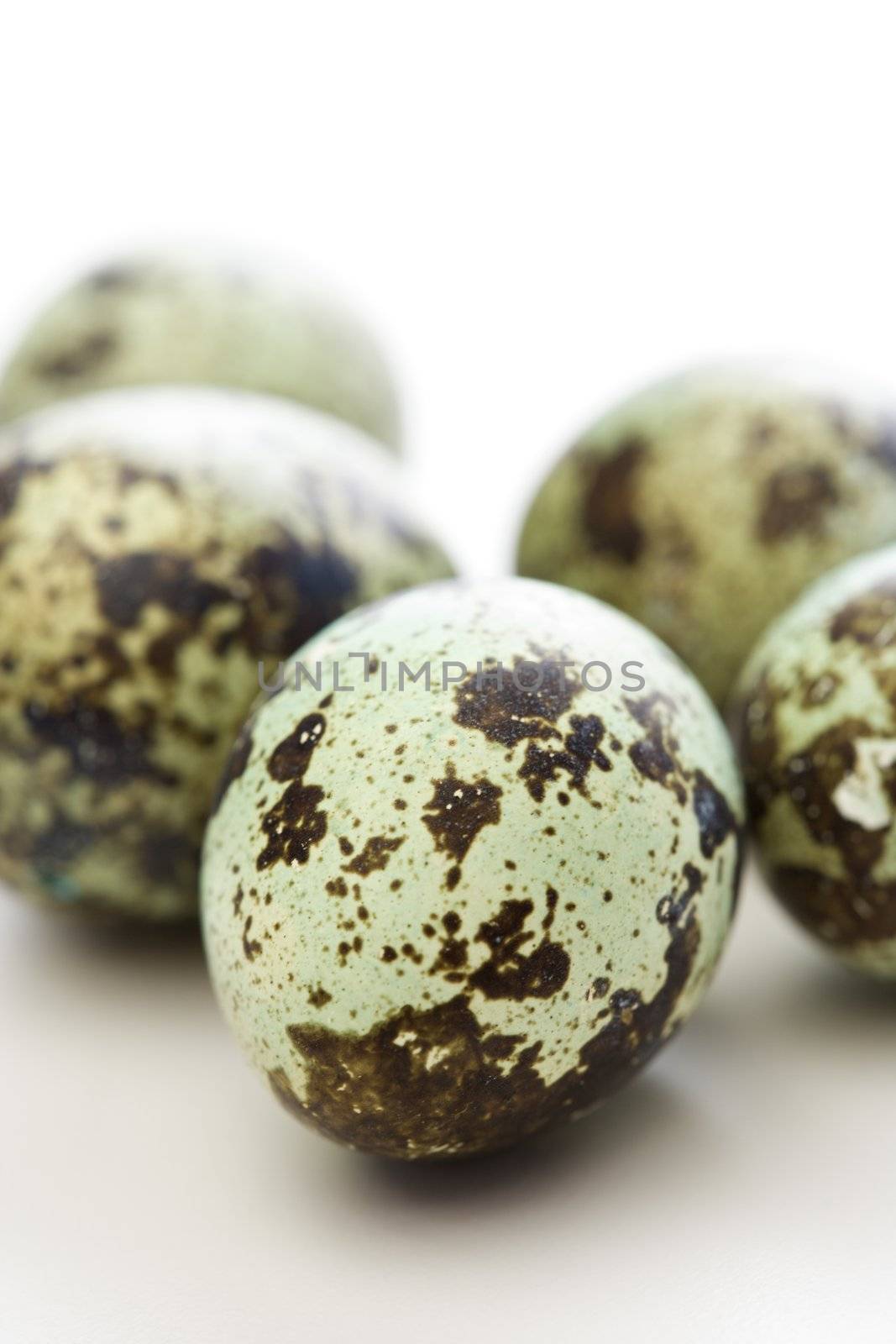 Studio still life of speckled eggs.