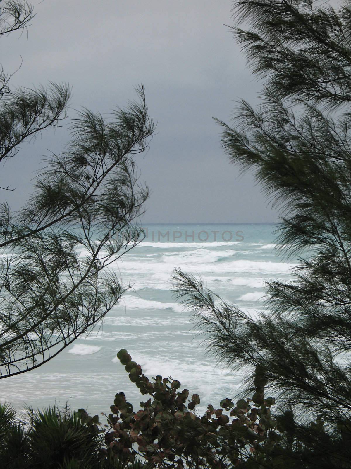 blue tropical ocean view