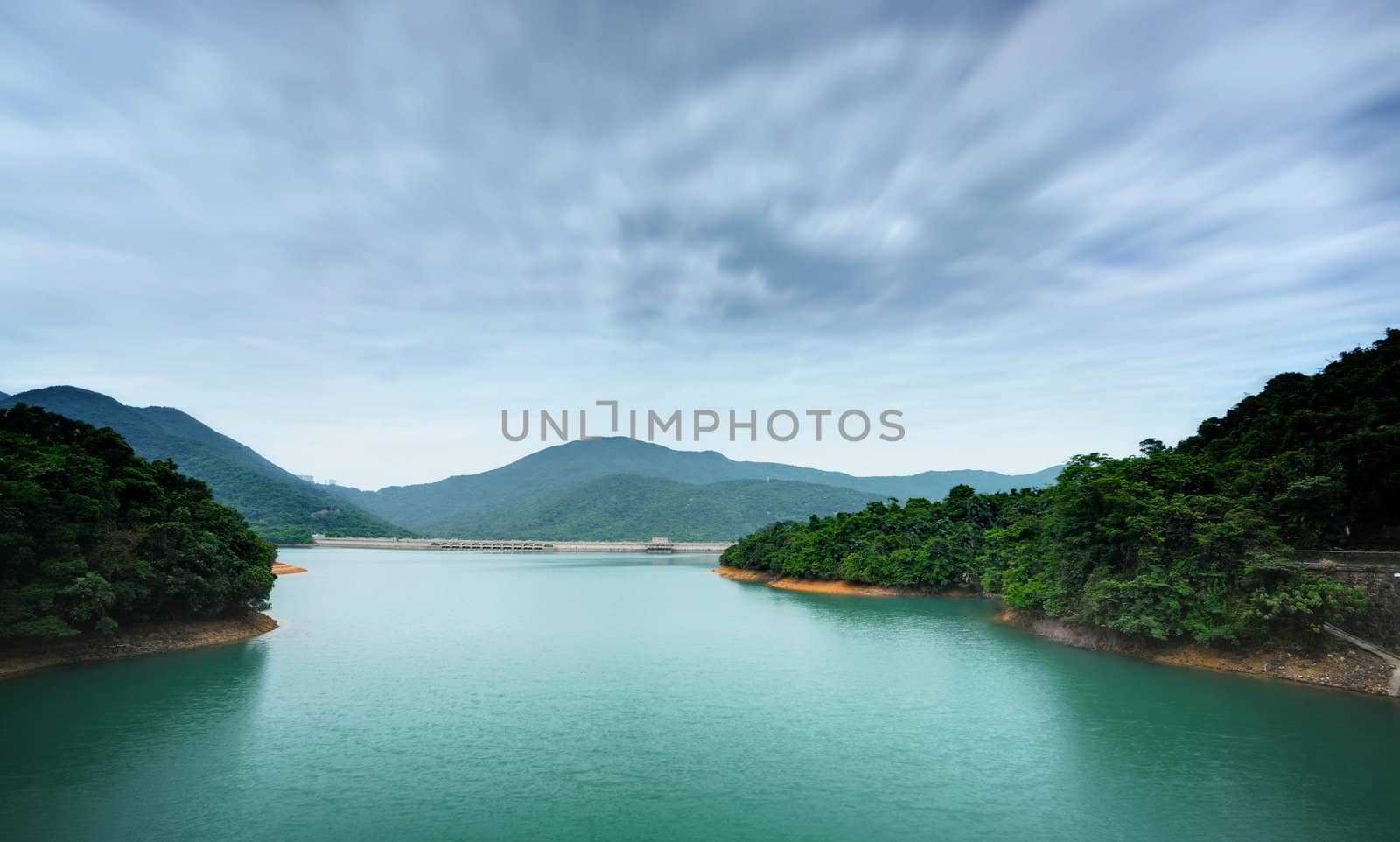 lake in forest