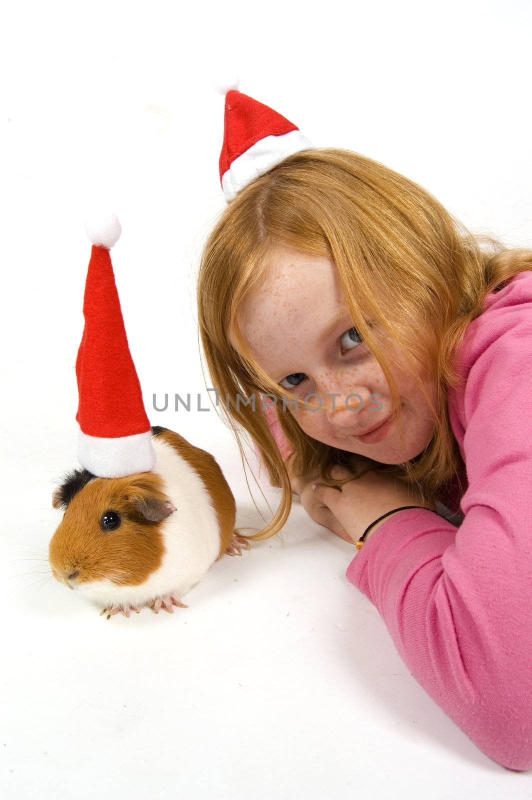 cute little red hair girl together with her guinea pig wearing a christmas hat on white