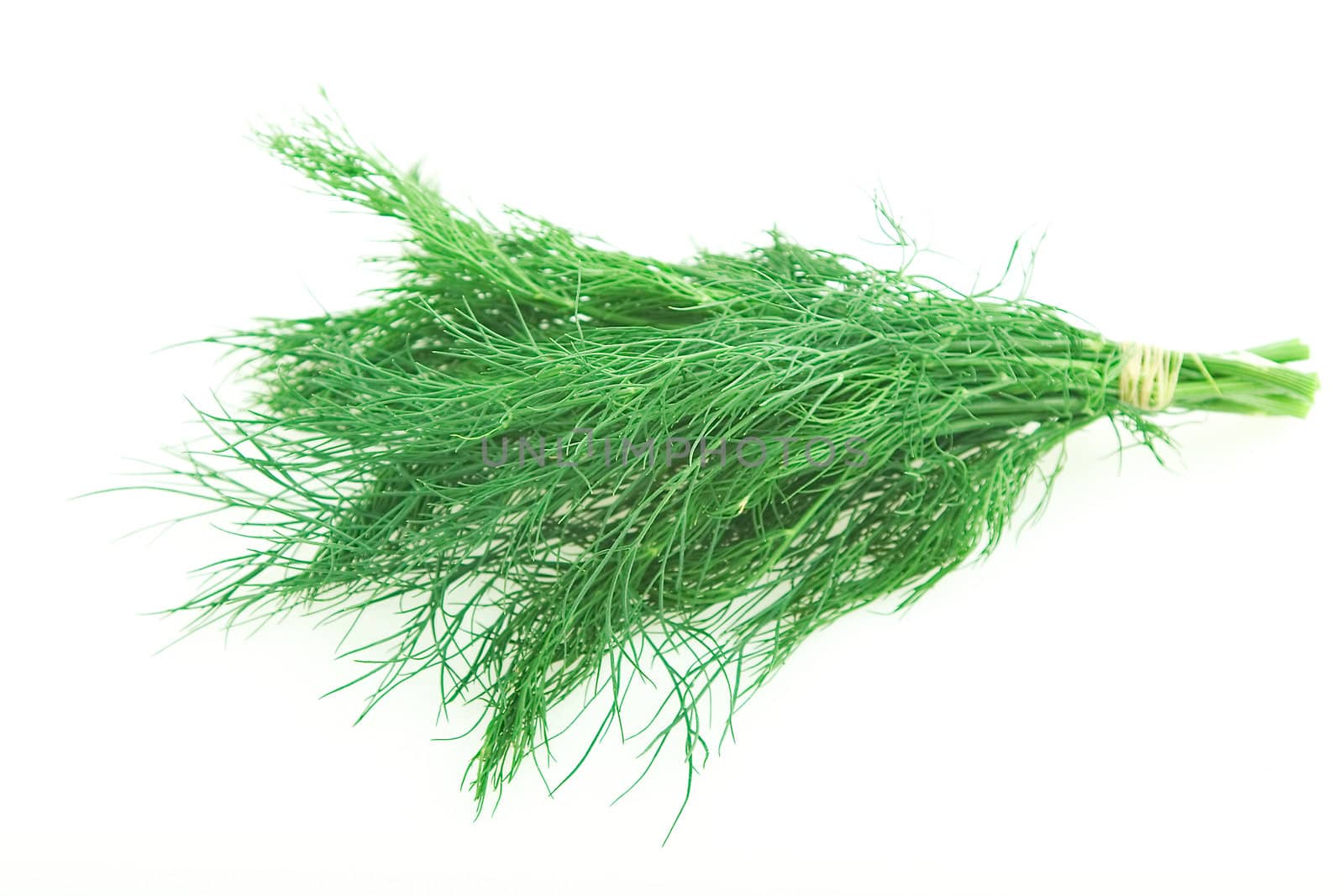 fresh herbal, green dill on white background