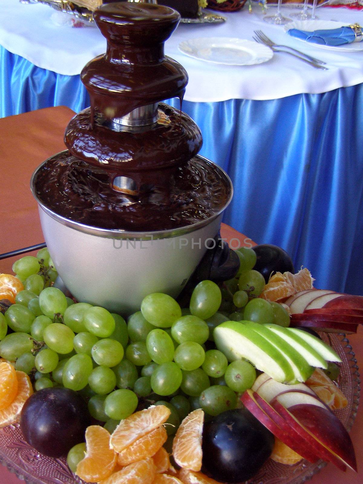 fruits lie near the fountain from the chocolate. 