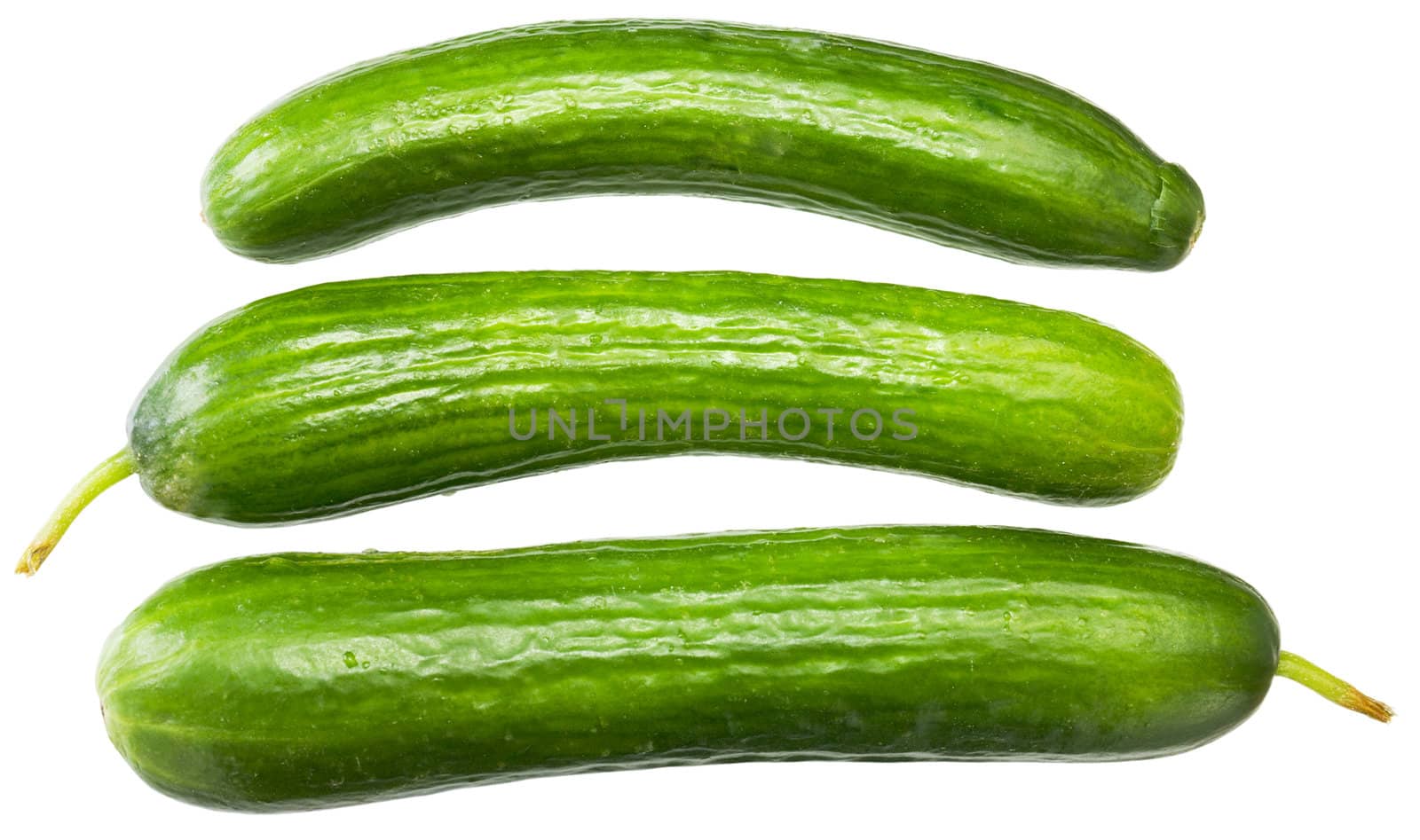 Three green cucumbers on a white background