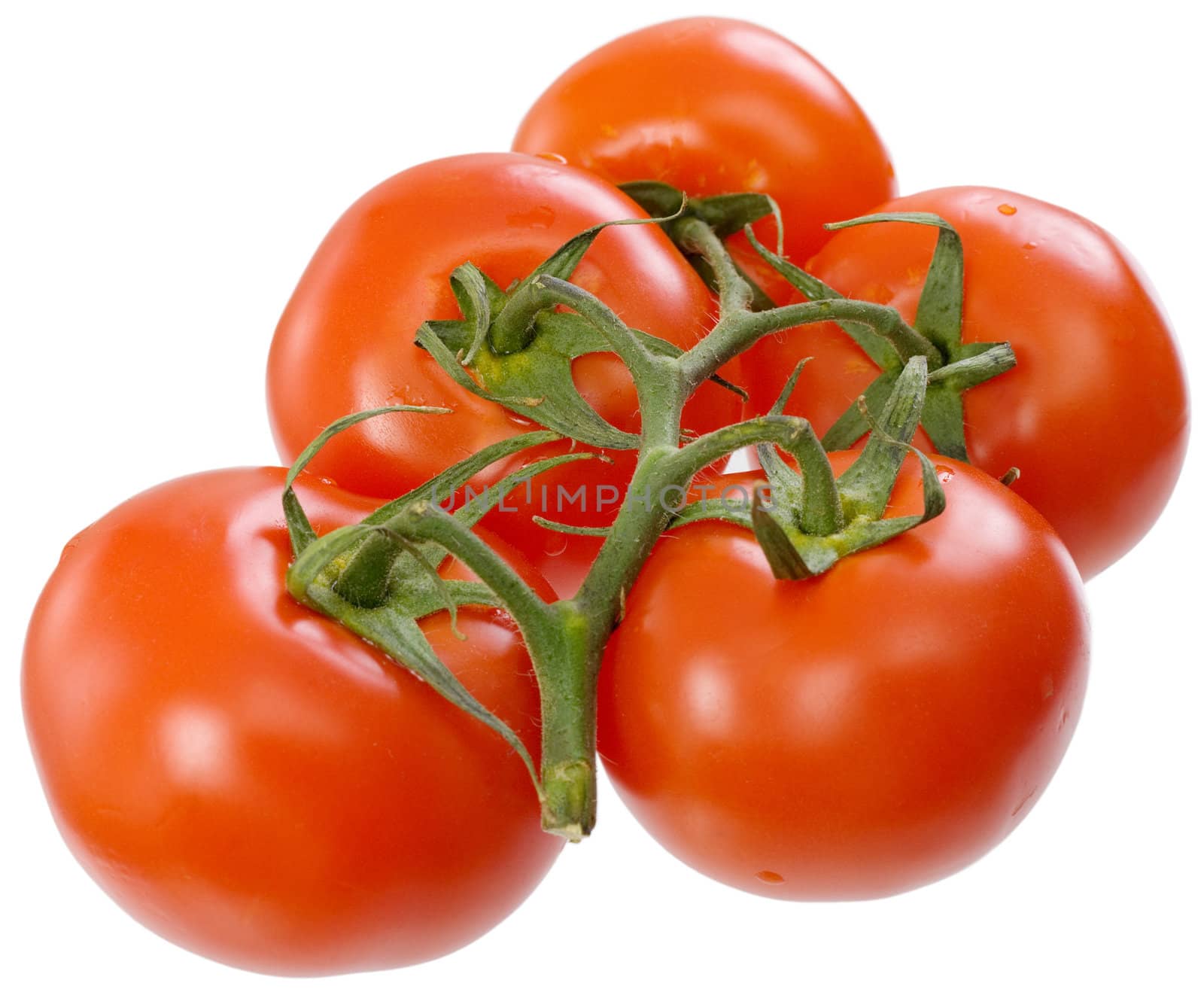 Red tomato on a white background