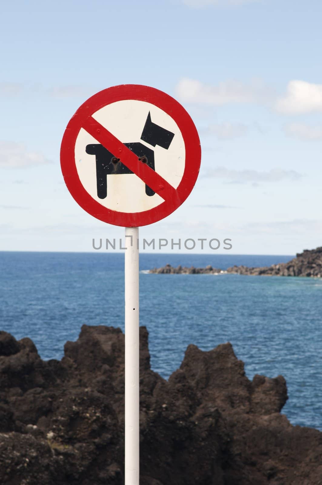 No dogs allowed sign in the coast of Faial, Azores, Portugal
