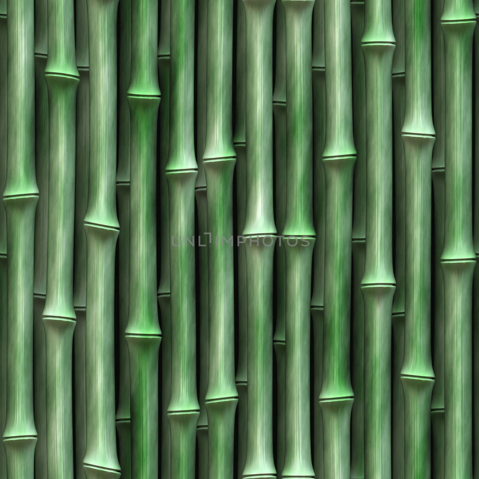 green bamboo by hospitalera
