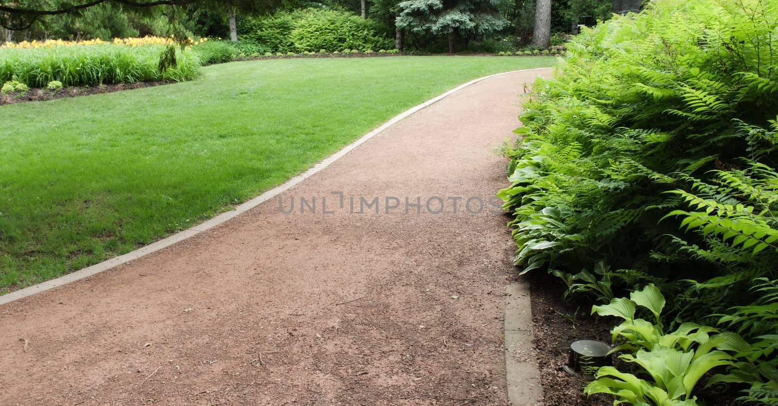 A groomed path running through a park with bushes on the right side of the image