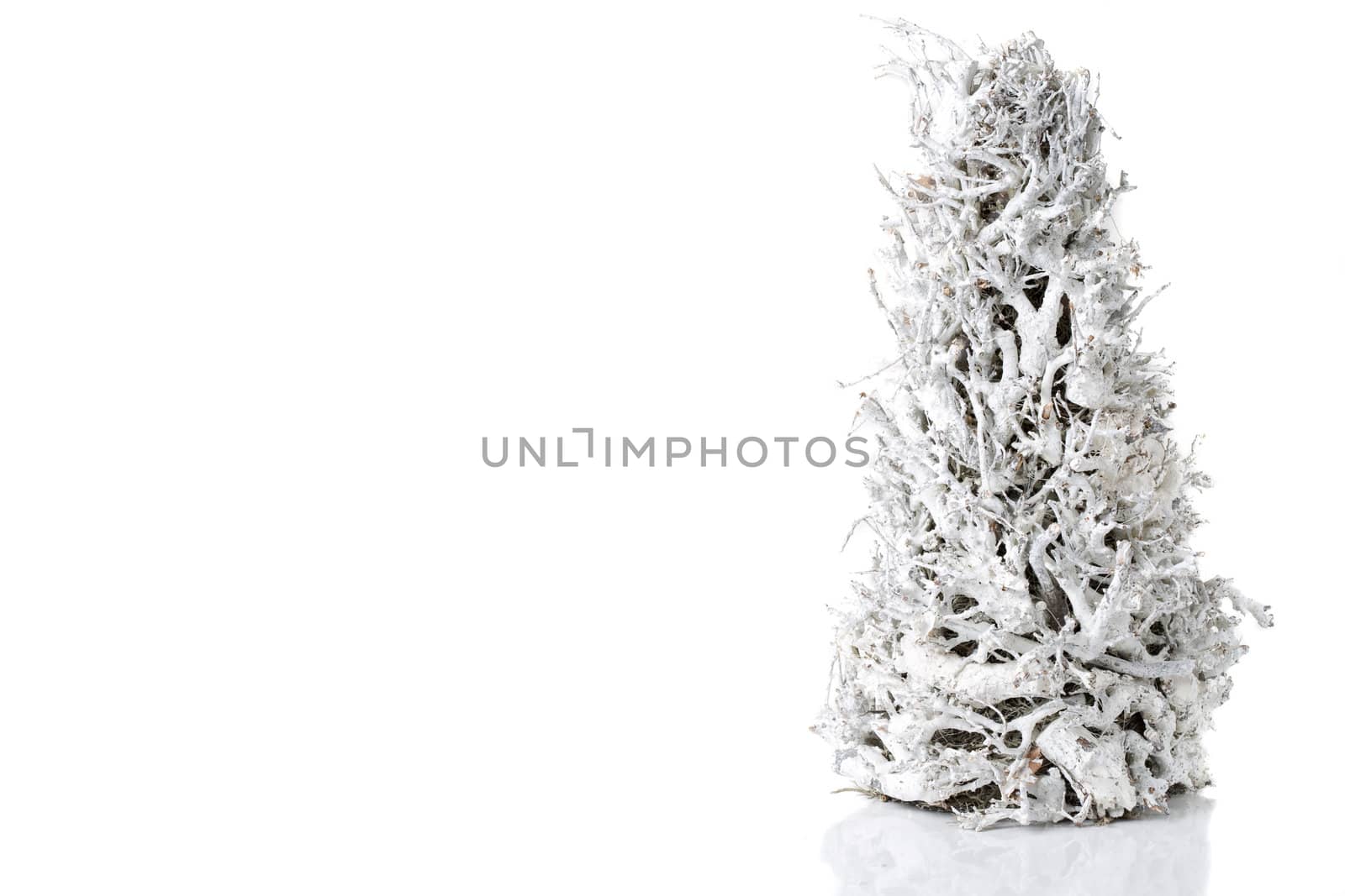 Beautiful white christmas tree made from branches on white background