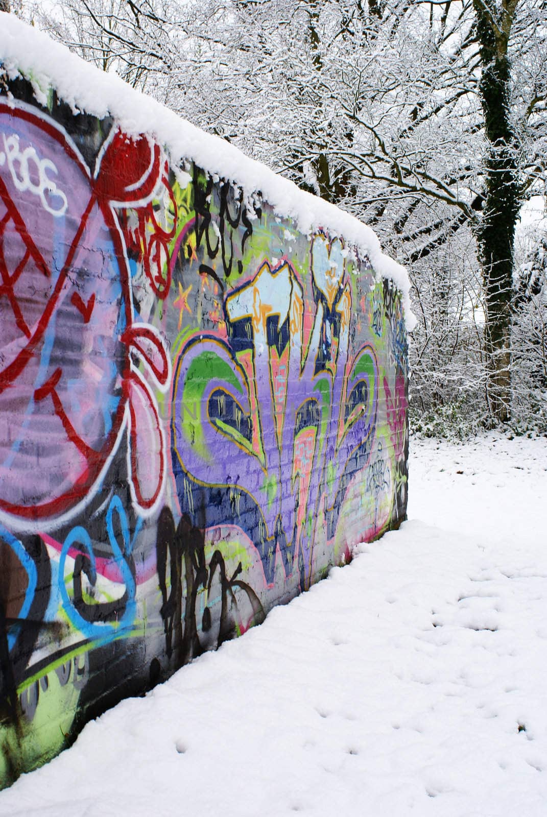 A graffiti wall in a park, covered with snow.