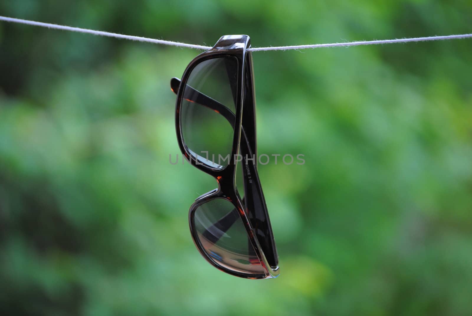 sunglasses by viviolsen