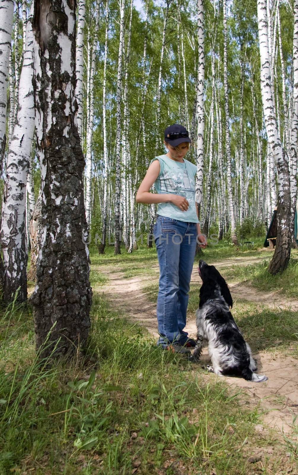 The girl with a dog in a birchwood.