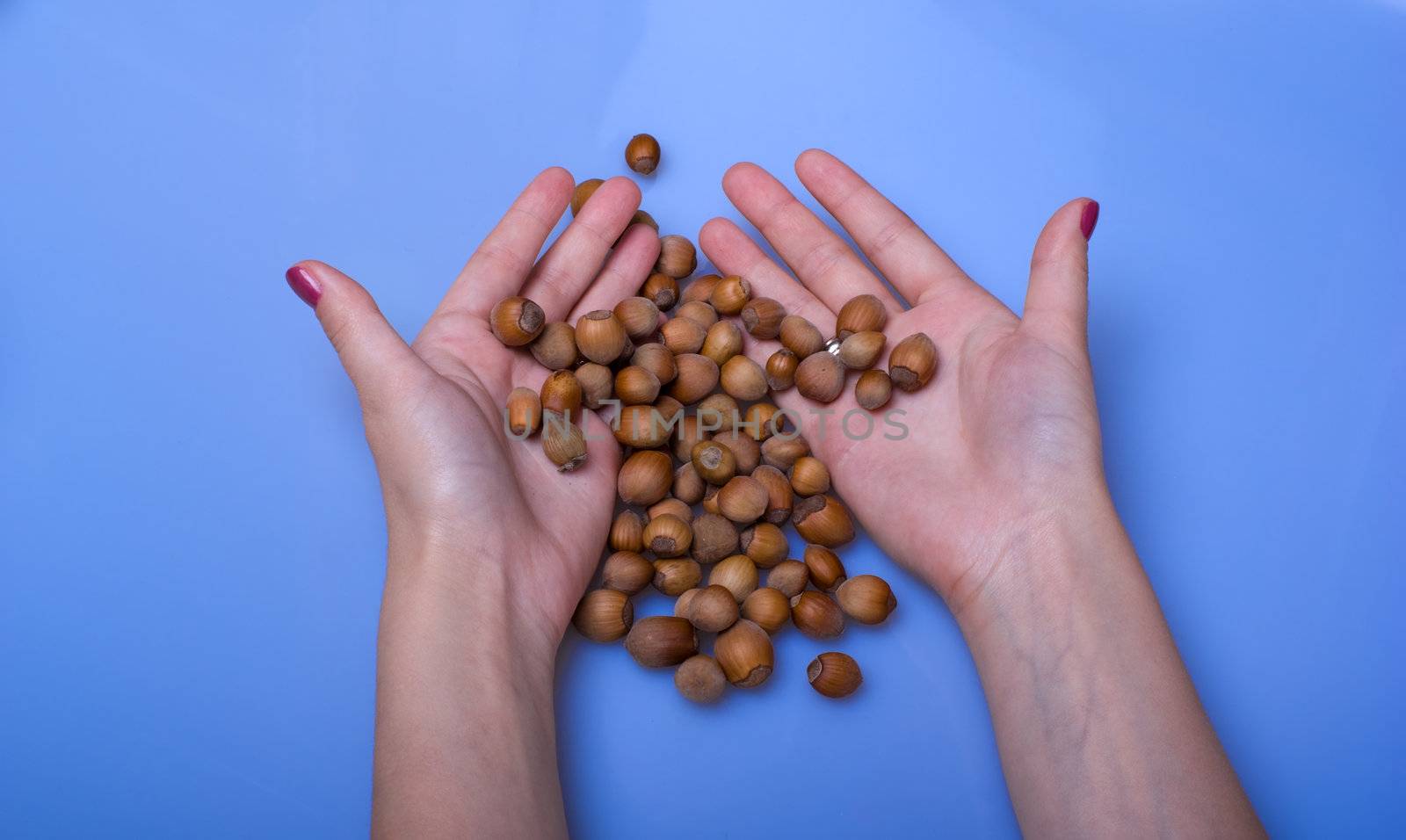 Female hands and scattered wood nuts on a blue background