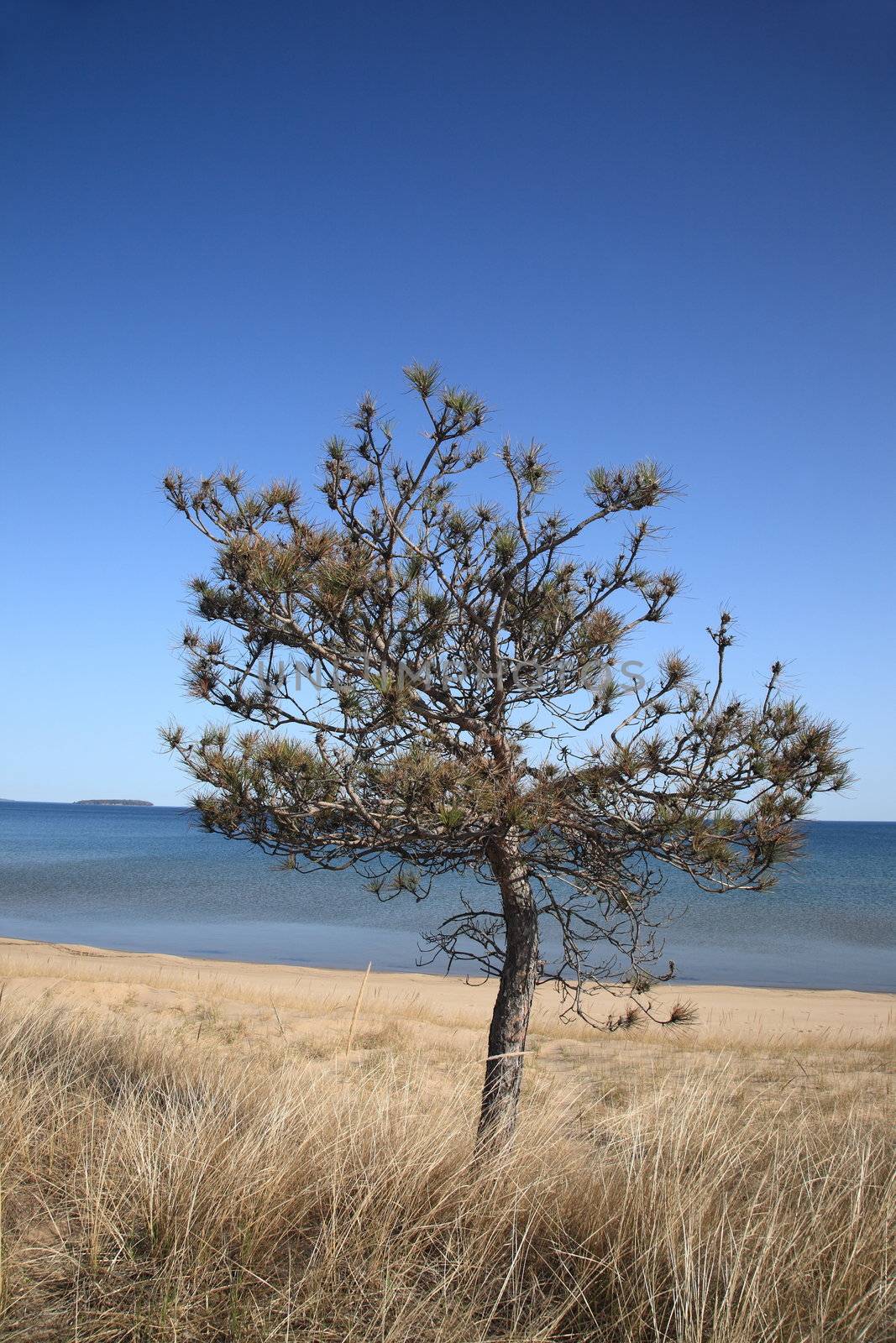 Lake Superior by Ffooter